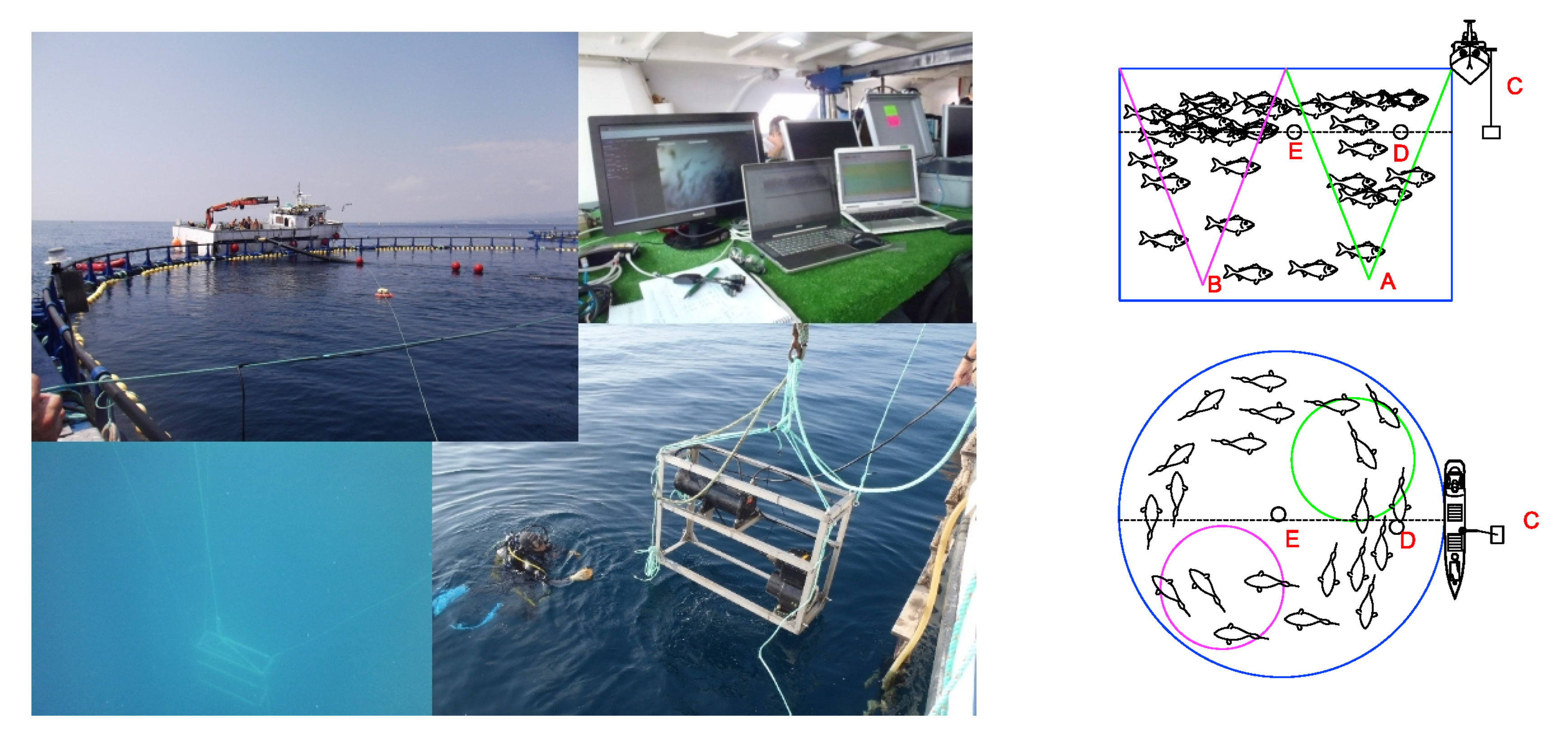 Sensors 21 06998 g005