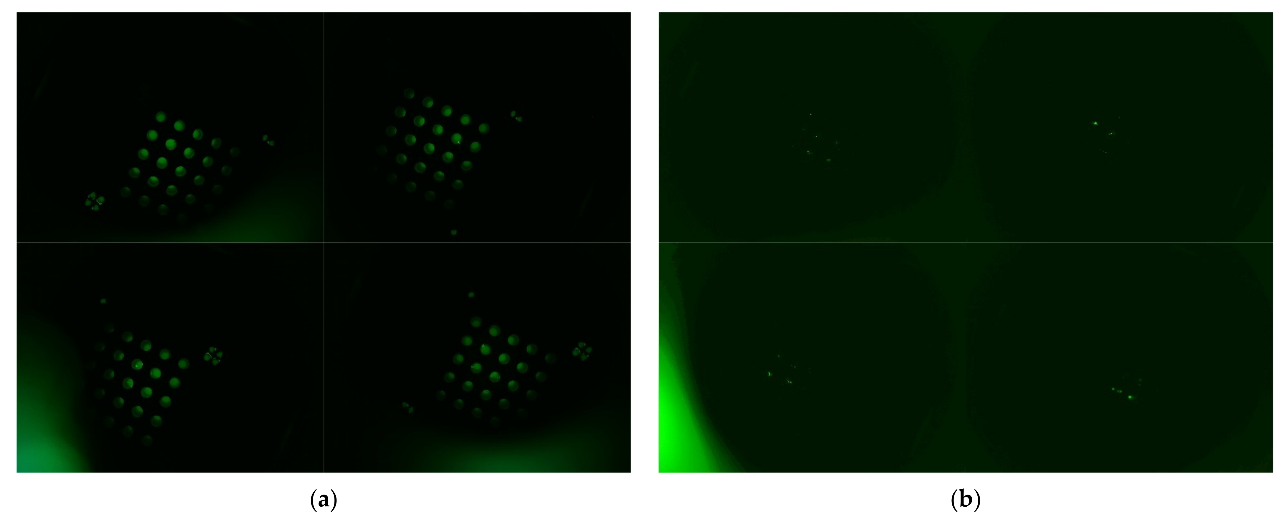 Sensors 21 07013 g007