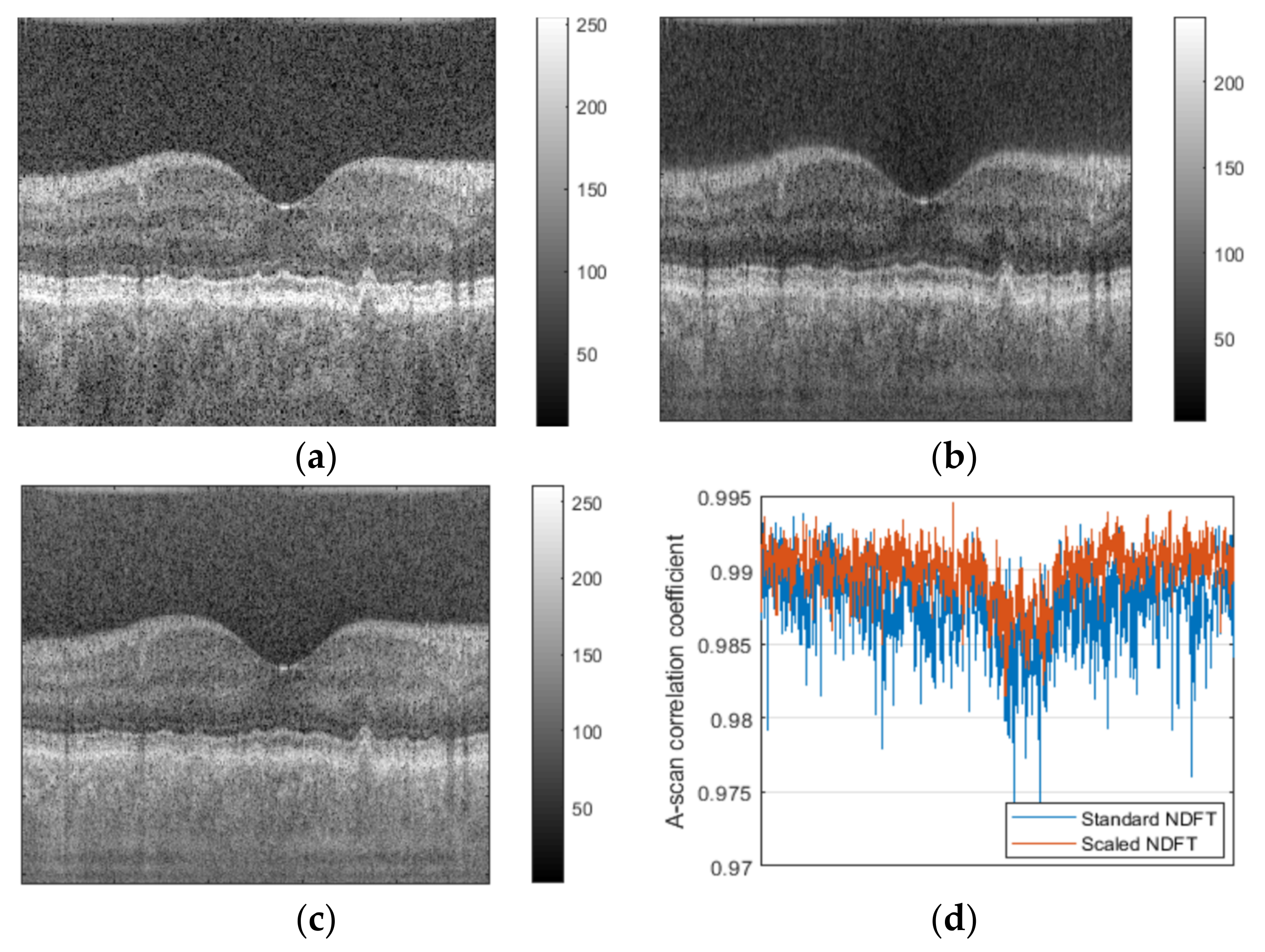 Sensors 21 07057 g001