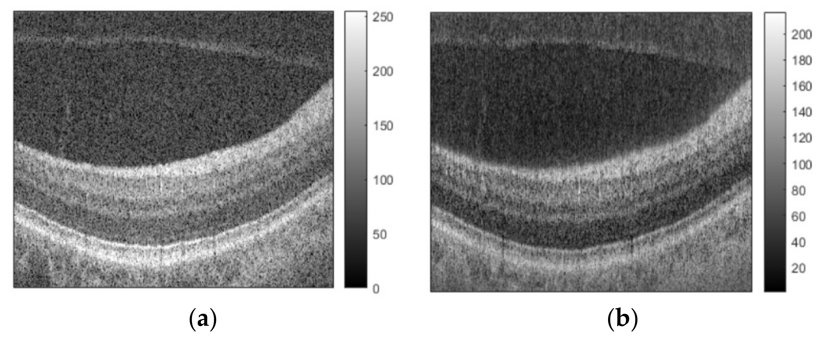 Sensors 21 07057 g002a