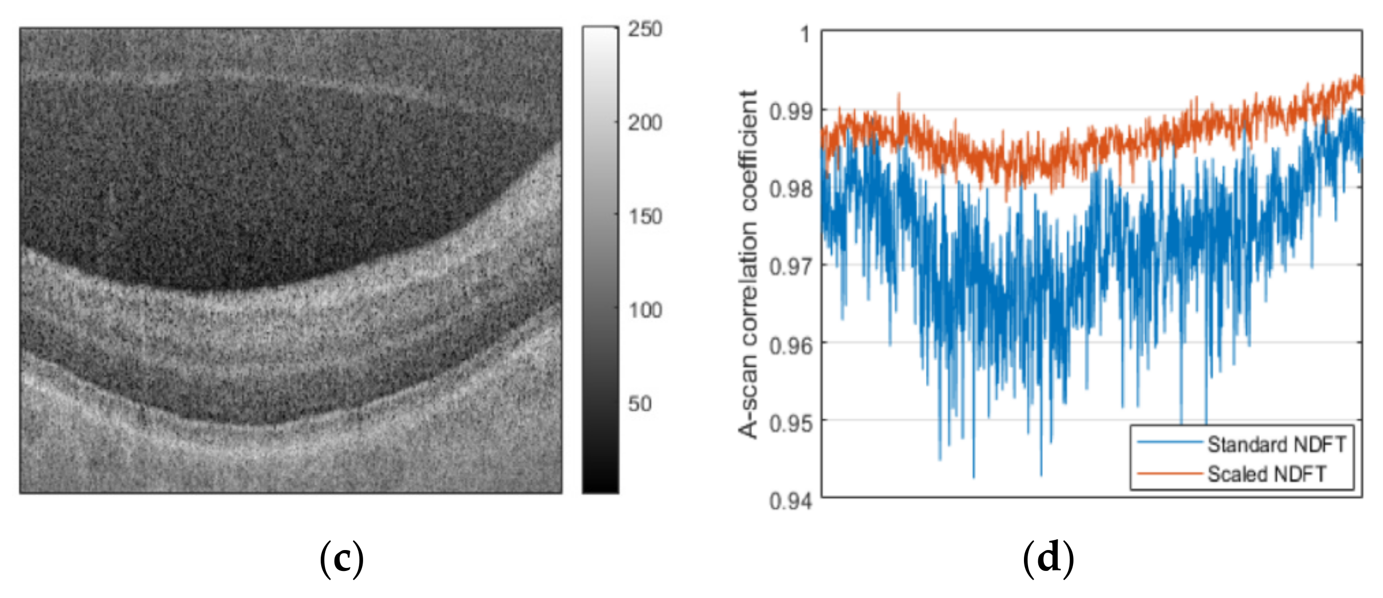 Sensors 21 07057 g002b