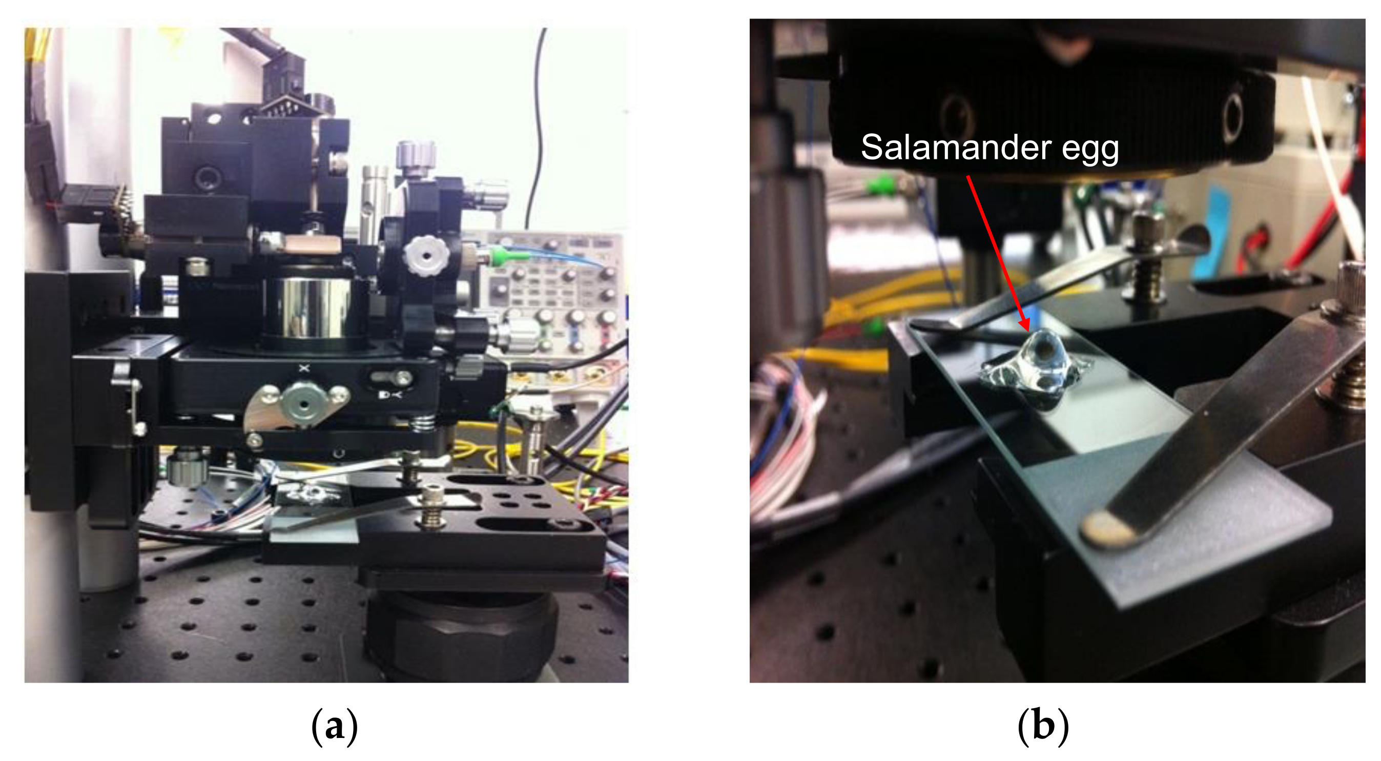 Sensors 21 07057 g003