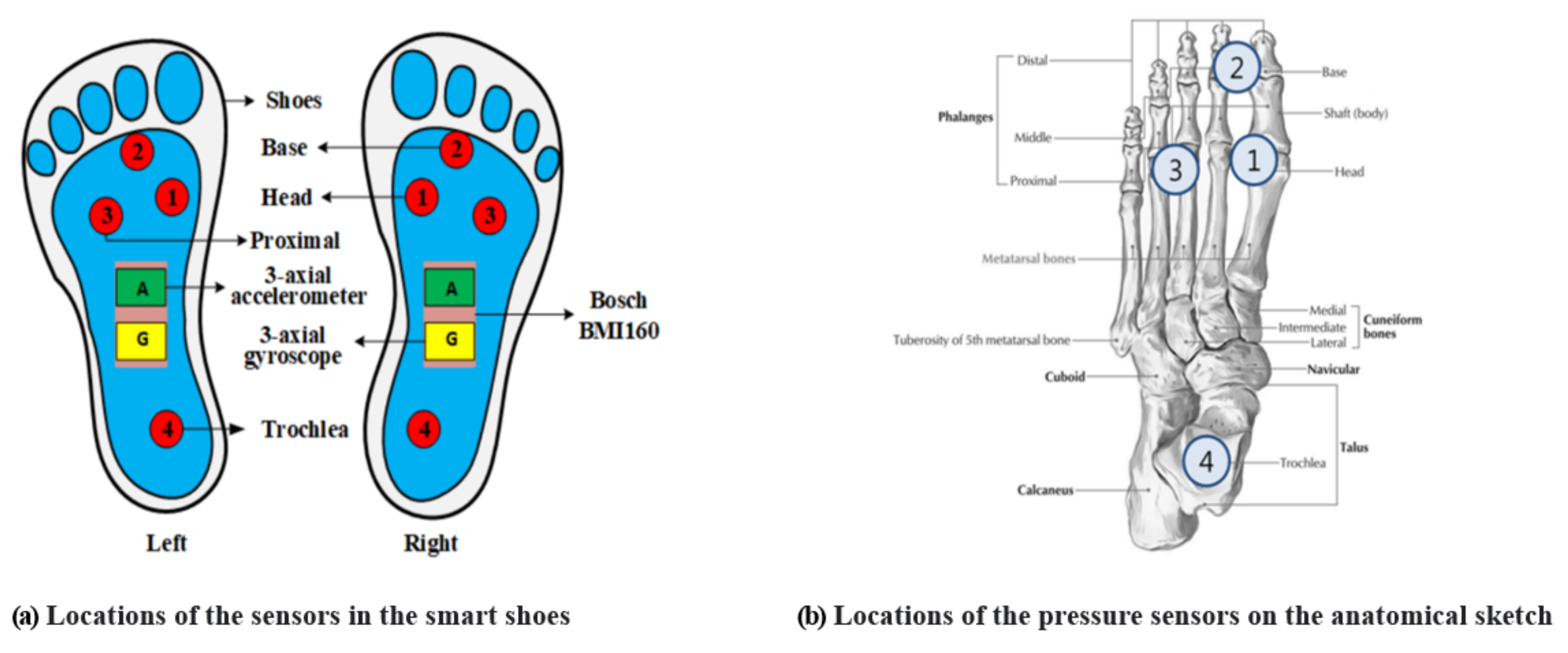 Sensors 21 07058 g002