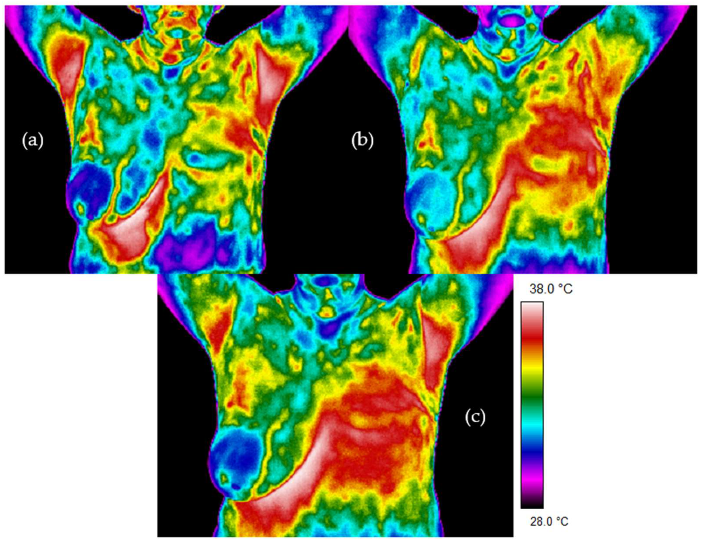 Sensors 21 07068 g002
