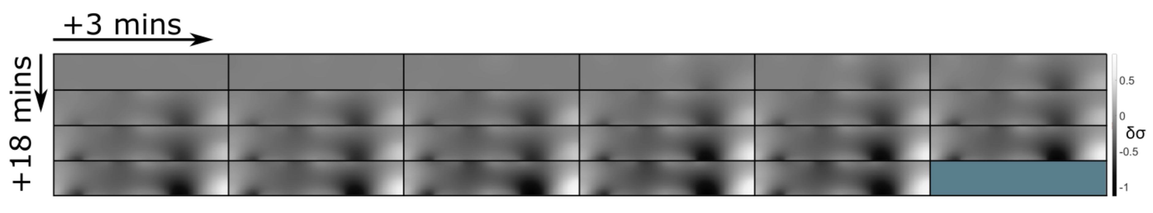 Sensors 21 07081 g008