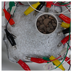 Sensors 21 07081 i001