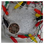 Sensors 21 07081 i003