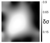 Sensors 21 07081 i004