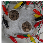 Sensors 21 07081 i005