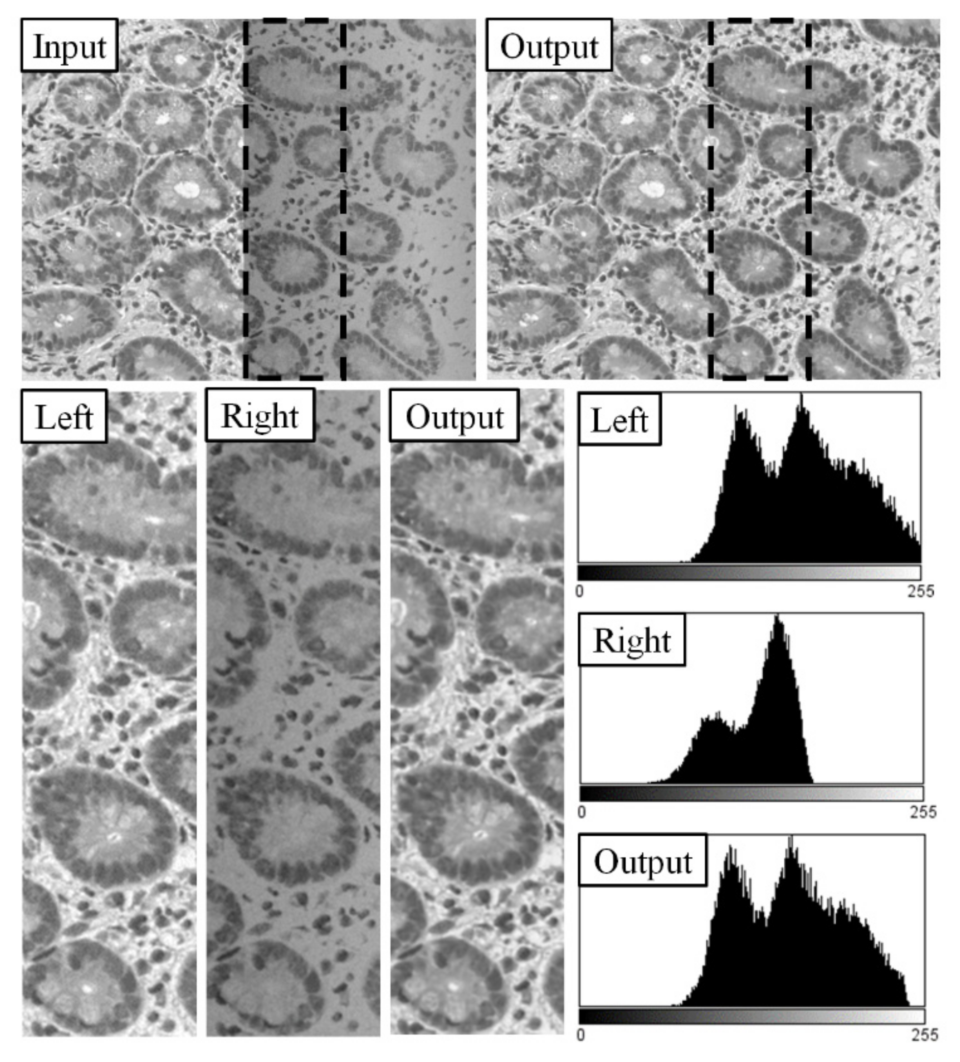 Sensors 21 07085 g002