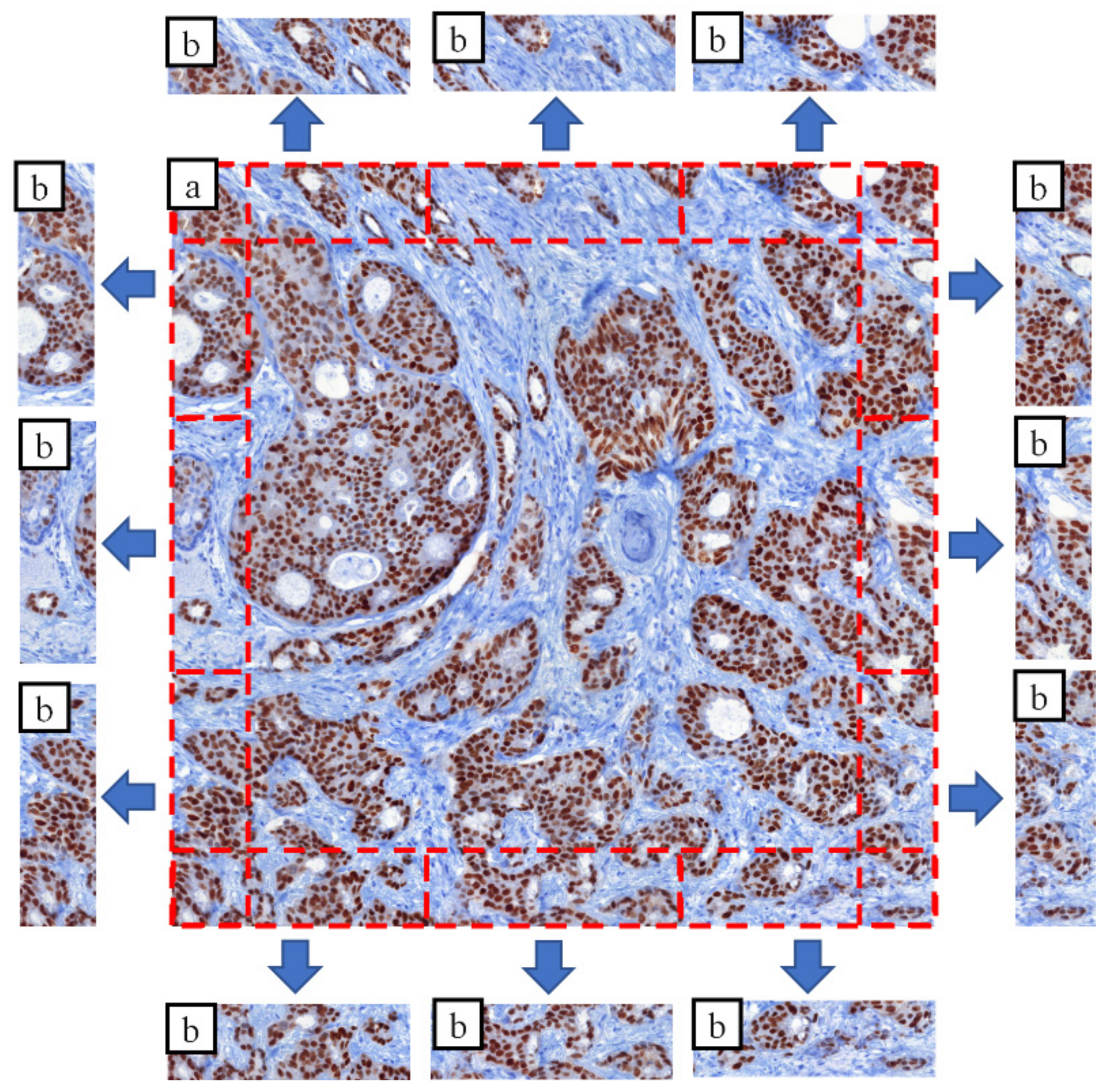 Sensors 21 07085 g003