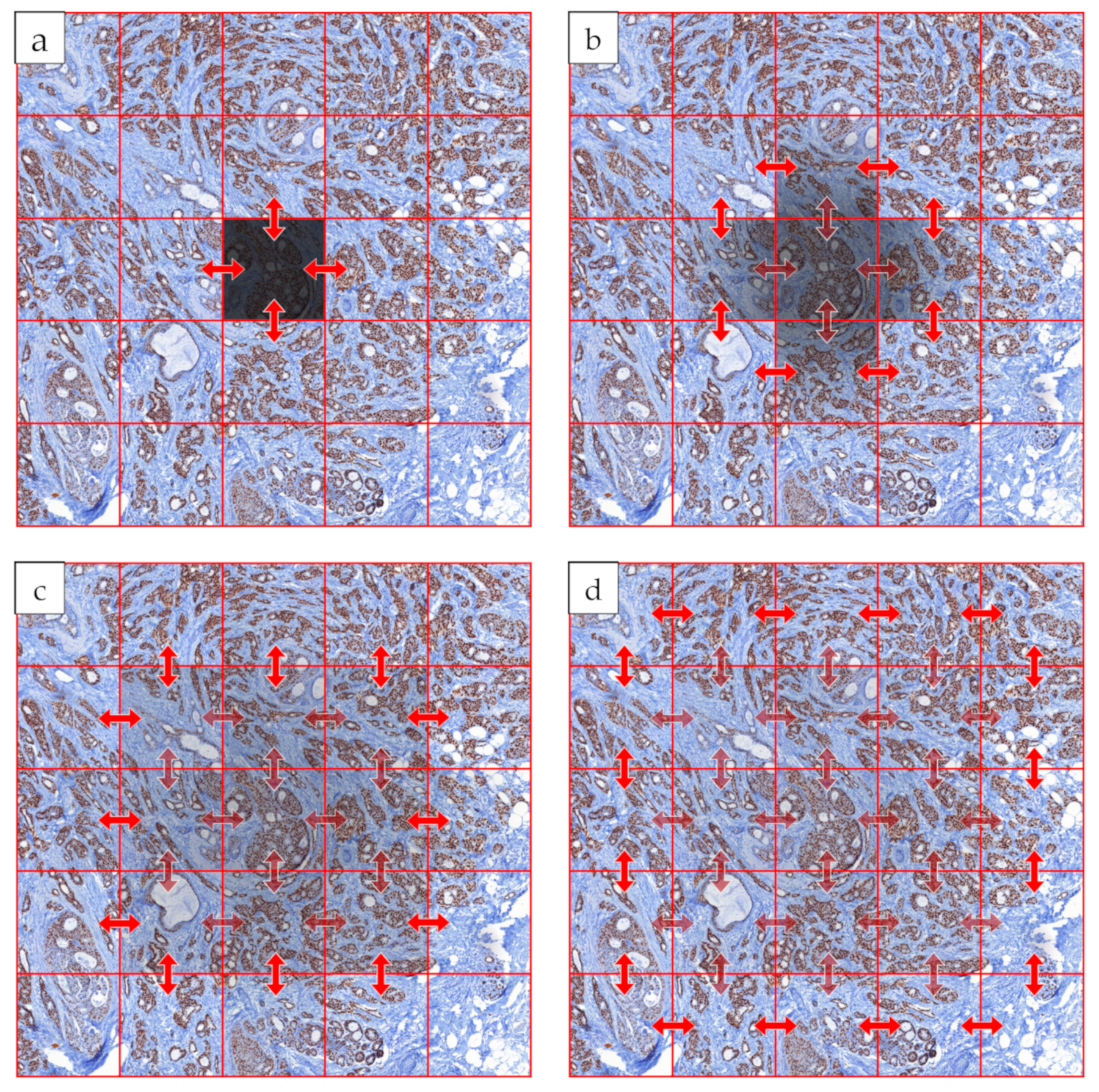 Sensors 21 07085 g005
