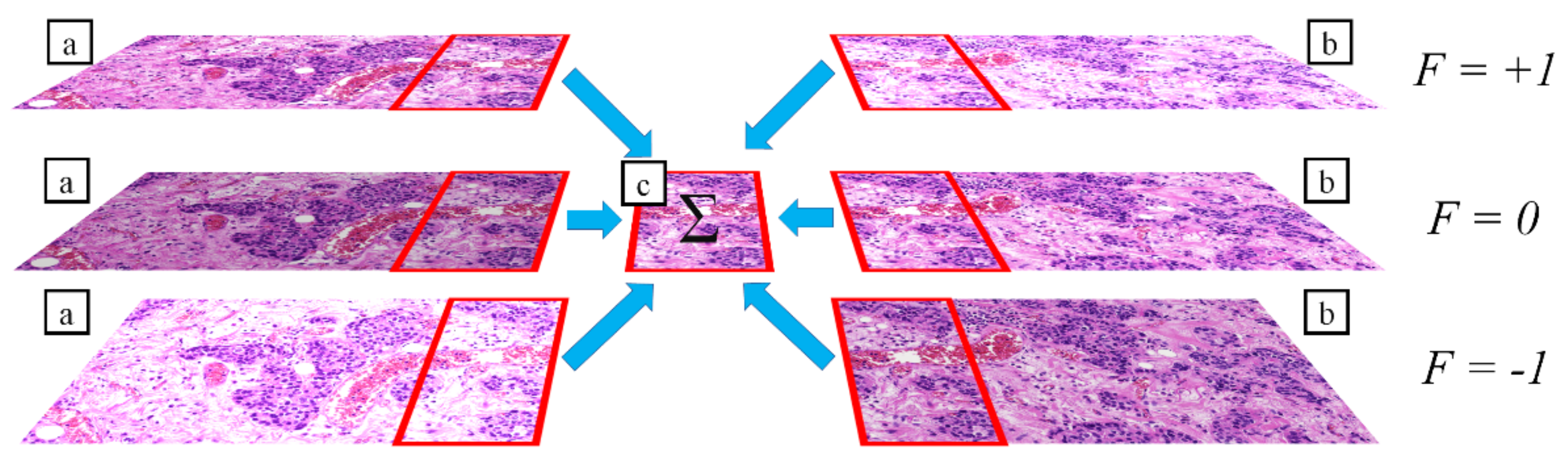 Sensors 21 07085 g006