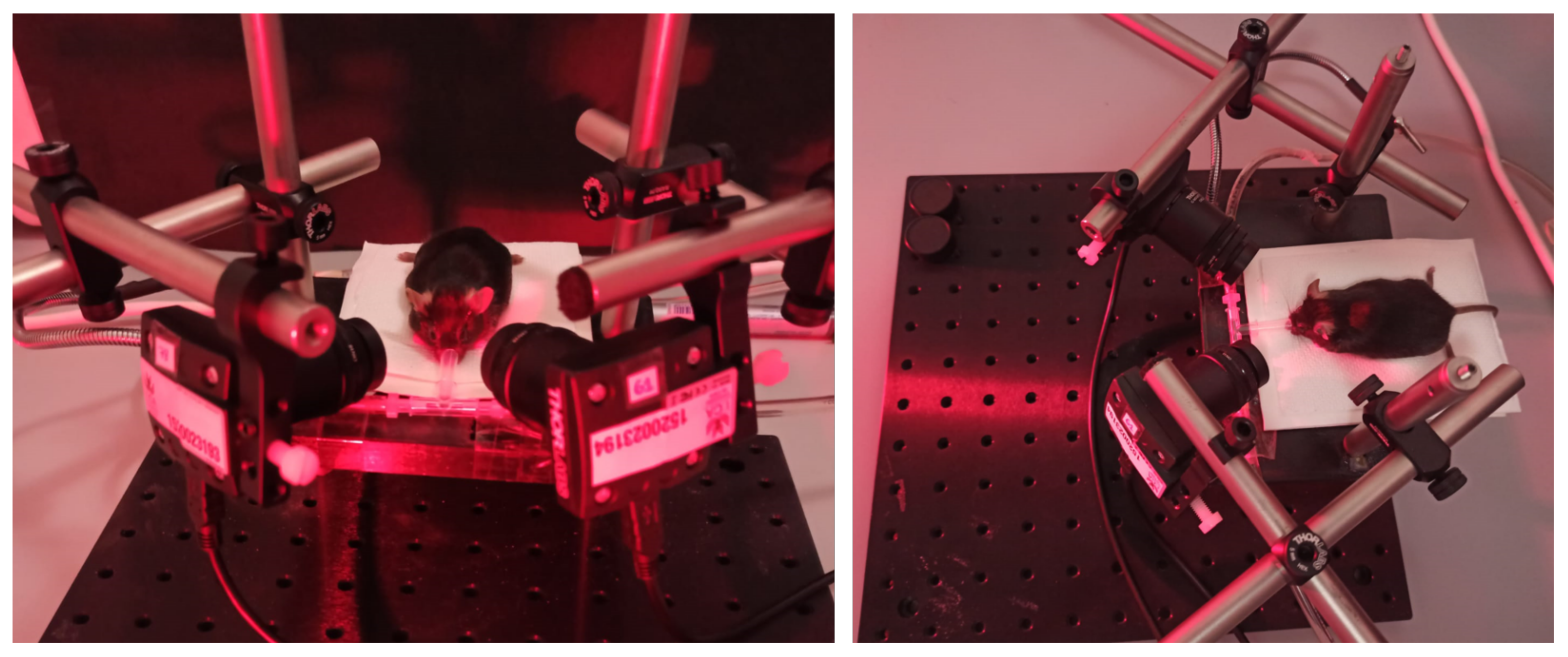 Sensors 21 07106 g003