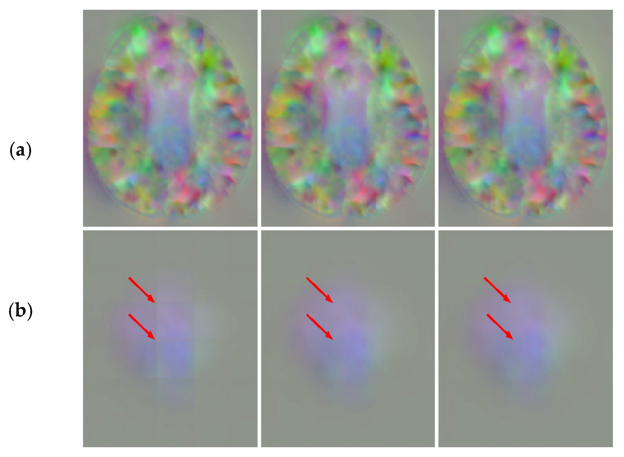 Sensors 21 07112 g011