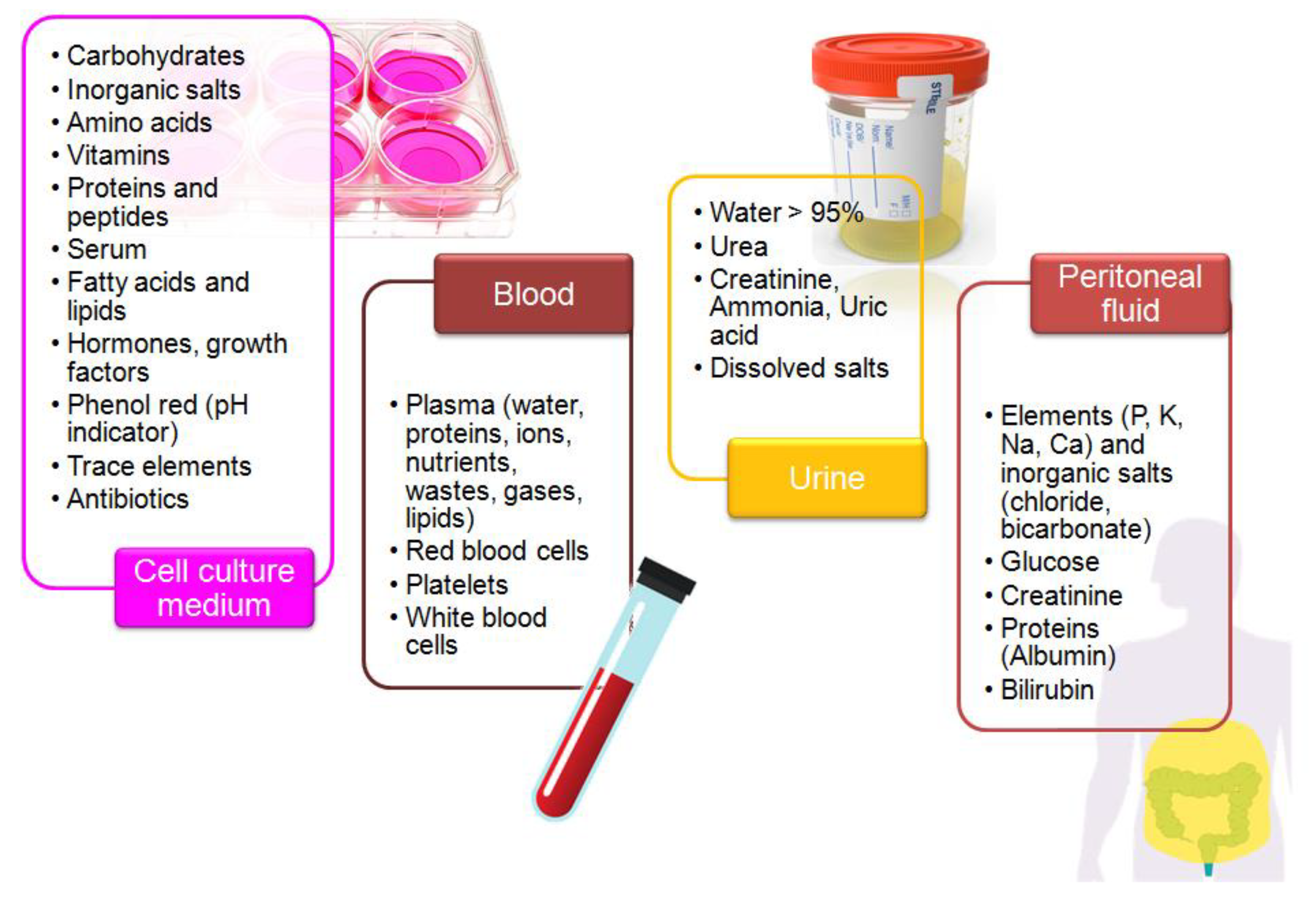 Sensors 21 07152 g002