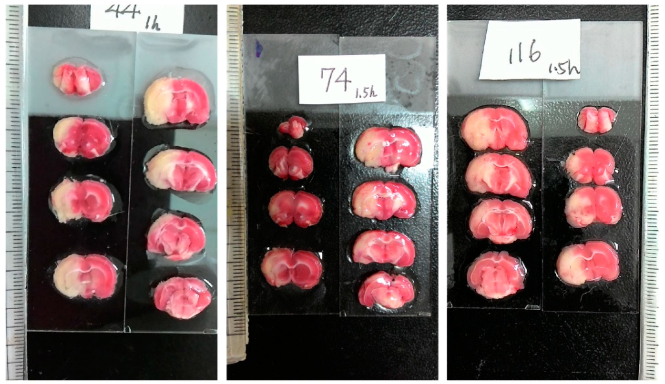 Sensors 21 07171 g001