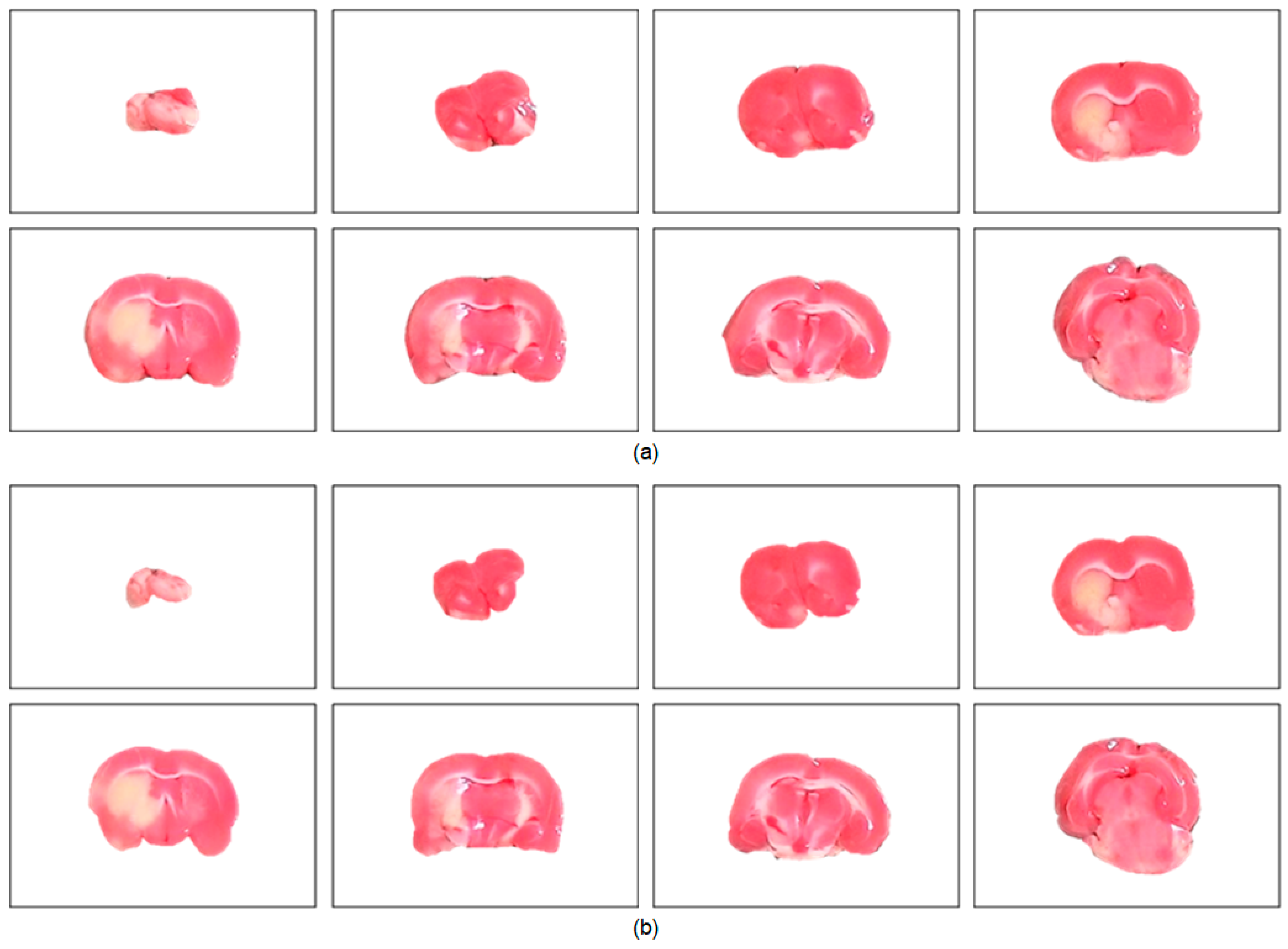 Sensors 21 07171 g003