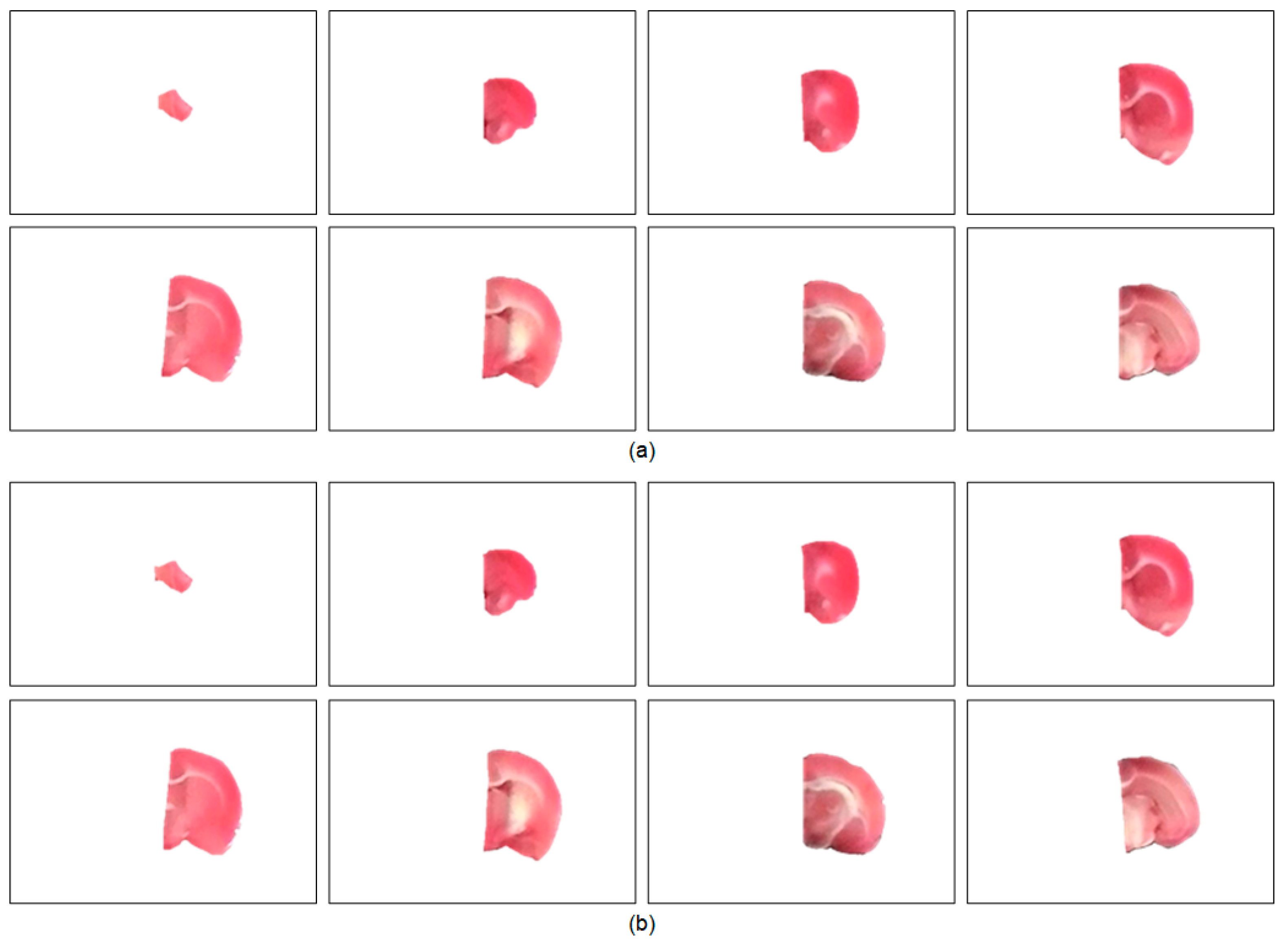 Sensors 21 07171 g007