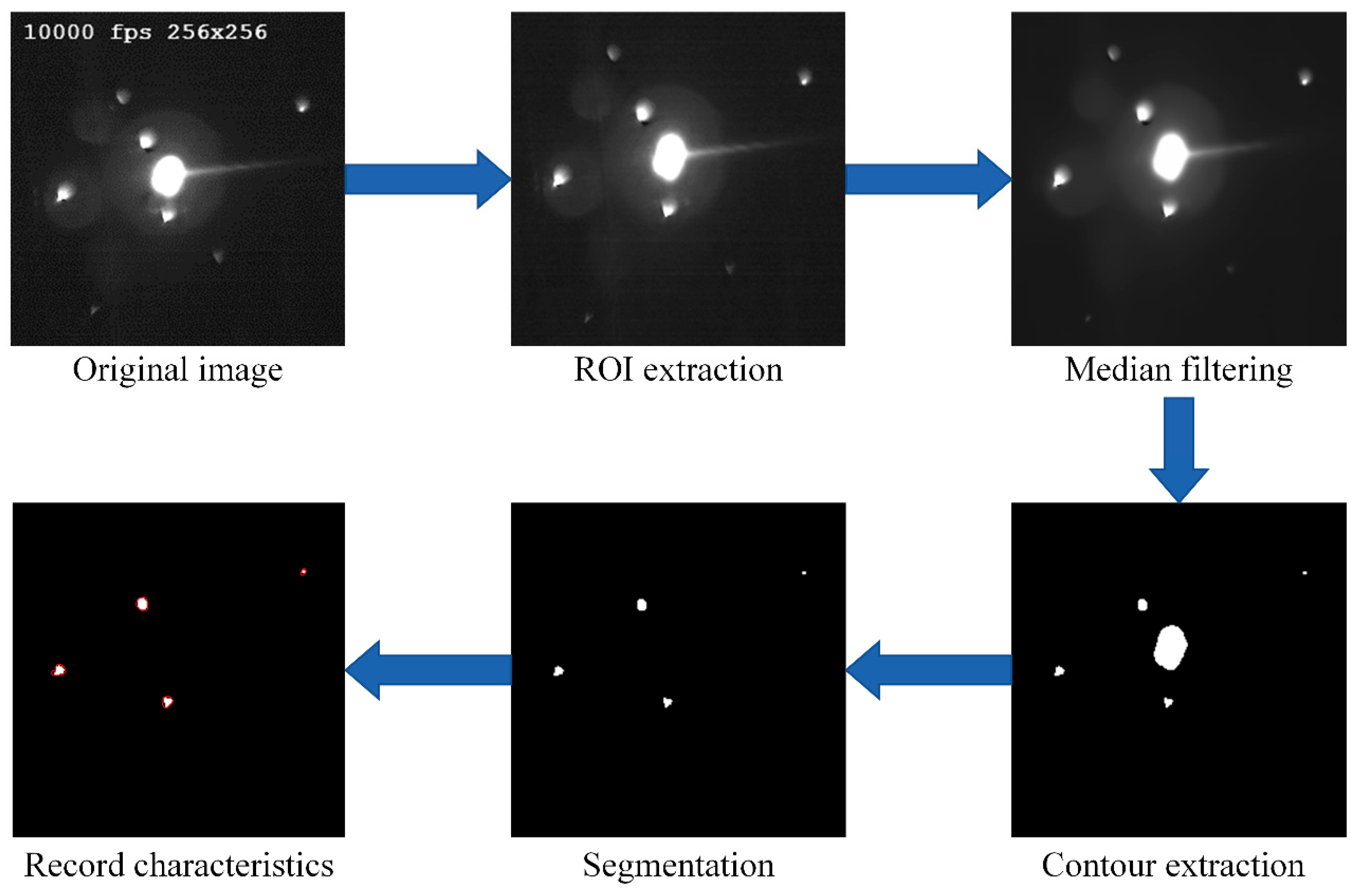 Sensors 21 07179 g005