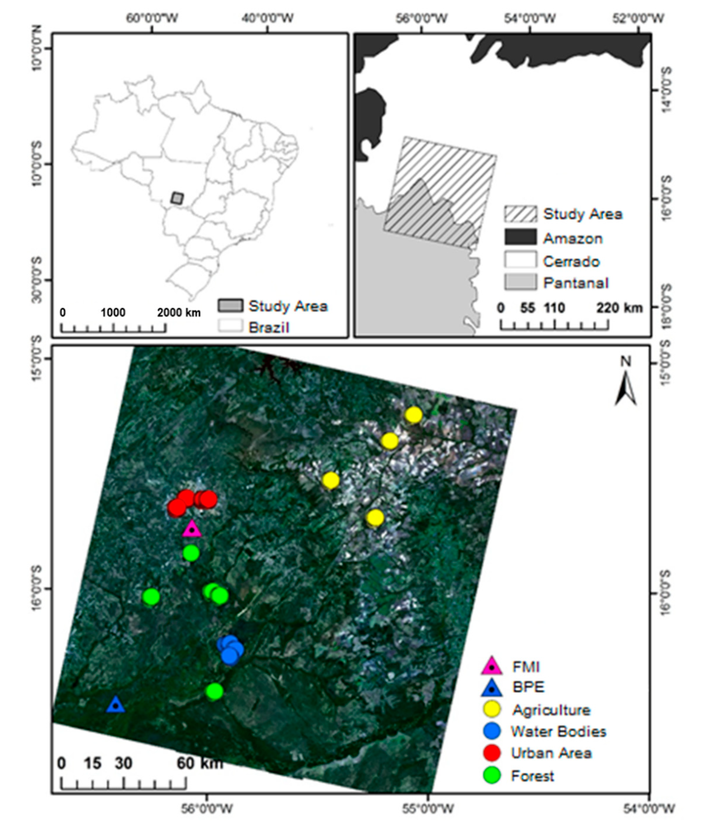 Sensors 21 07196 g001