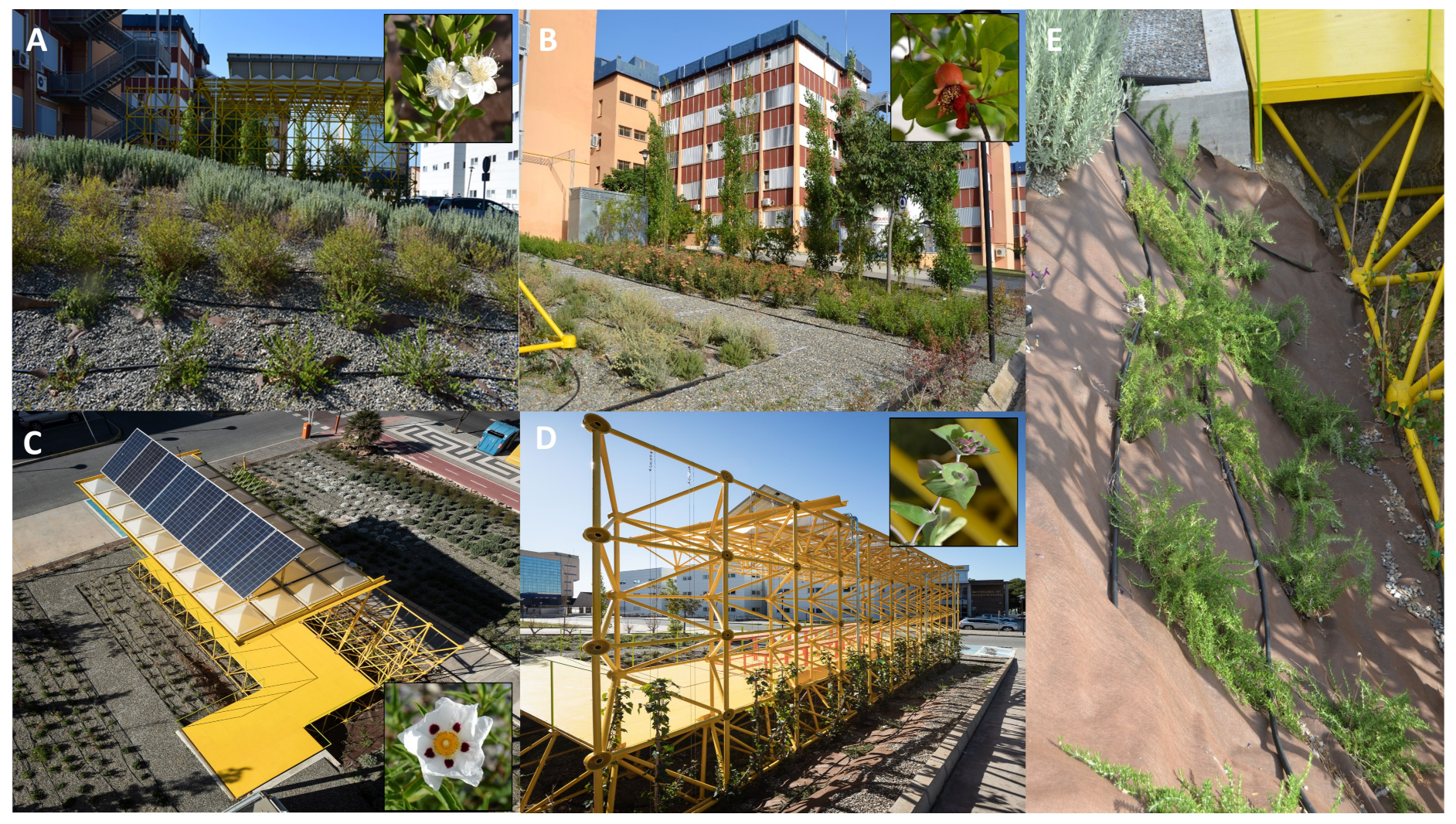 Sensors 21 07202 g012