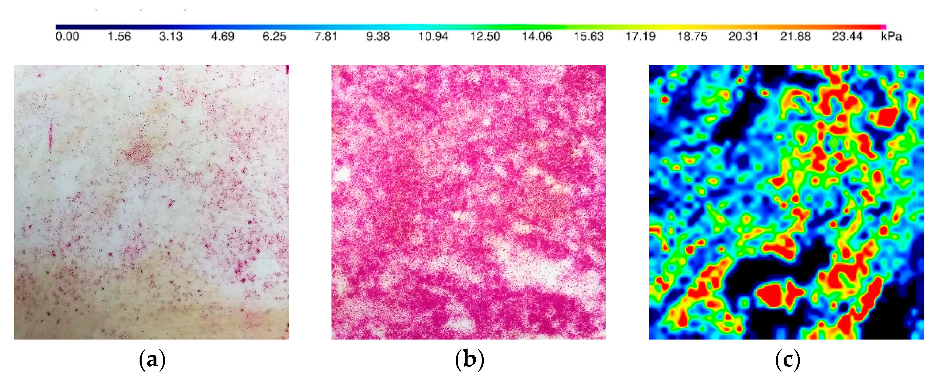 Sensors 21 07214 g013