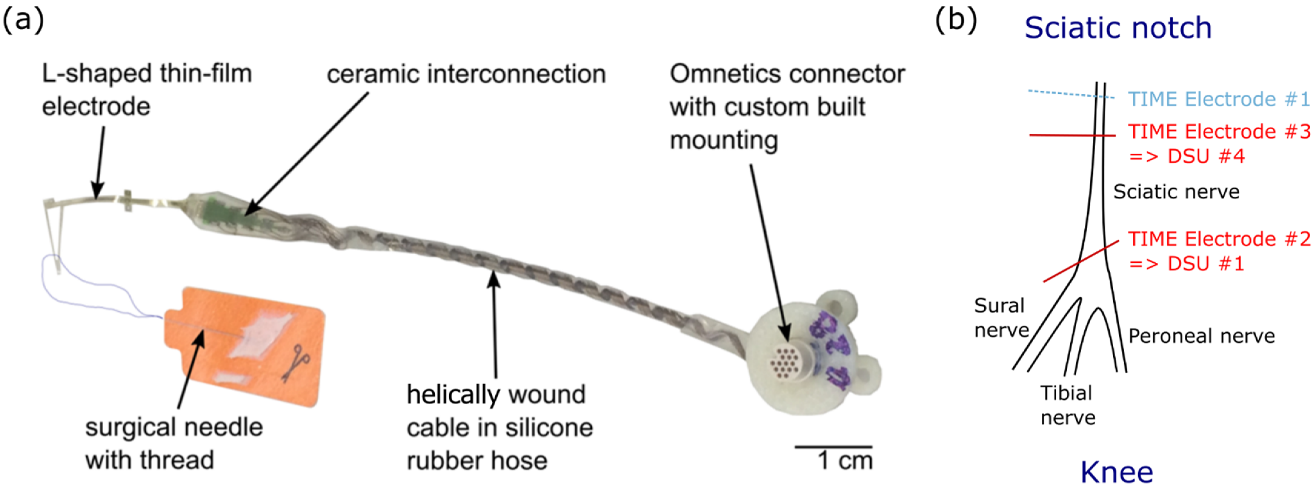 Sensors 21 07219 g002
