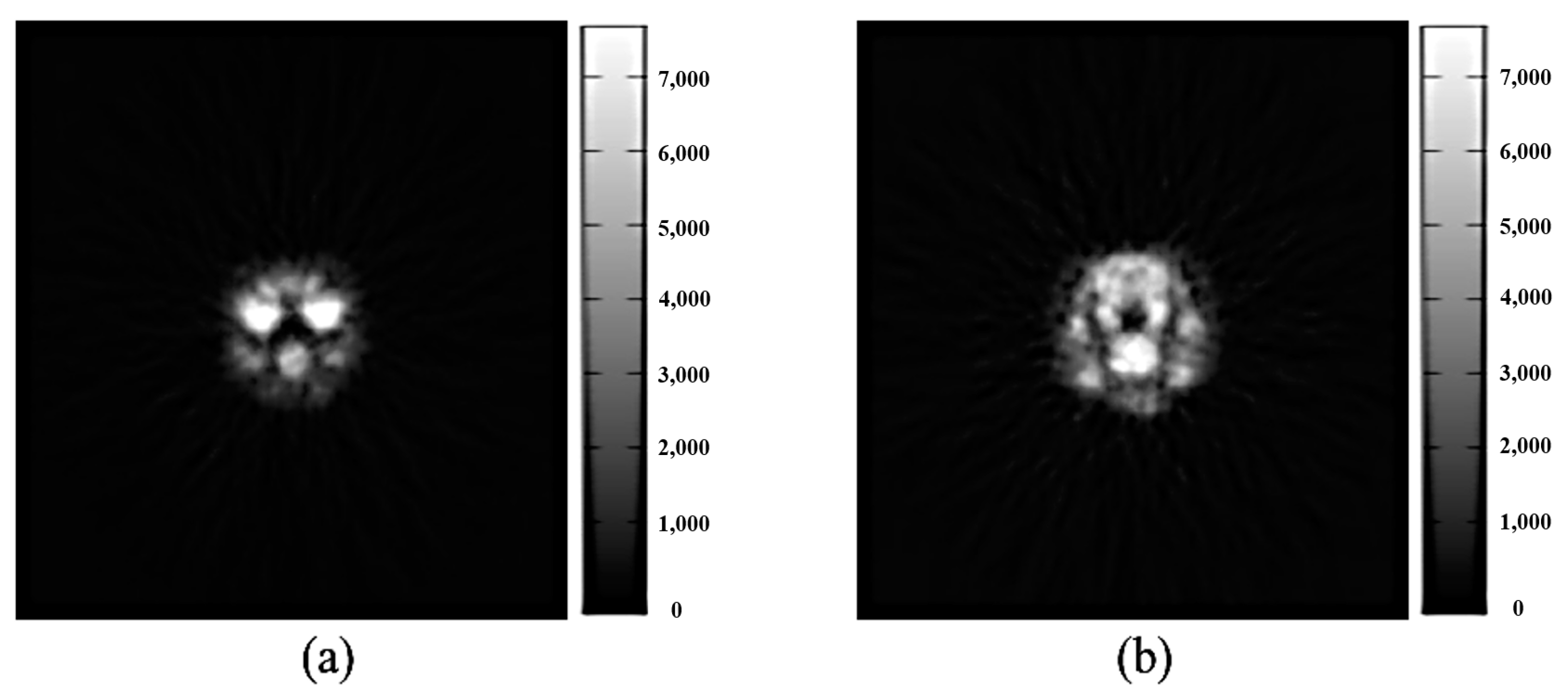Sensors 21 07228 g002