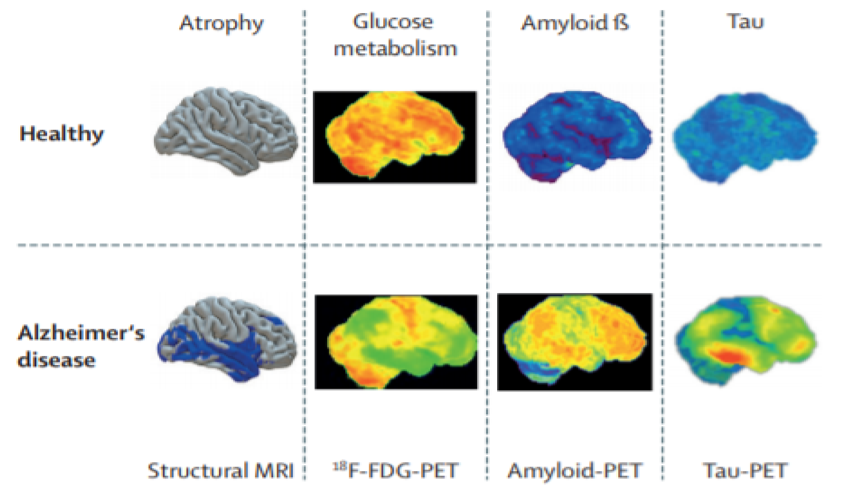Sensors 21 07259 g005