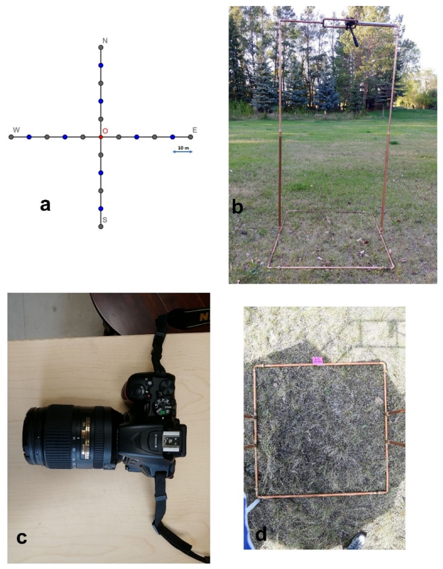 Sensors 21 07310 g001