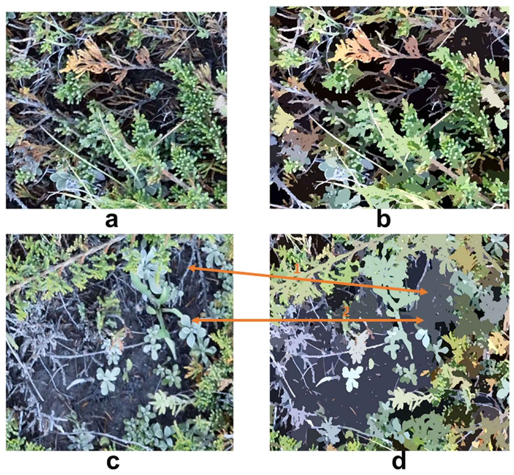 Sensors 21 07310 g010