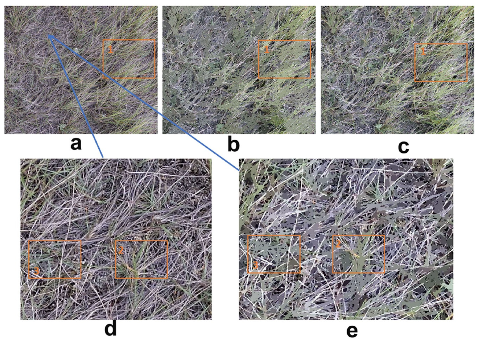 Sensors 21 07310 g011