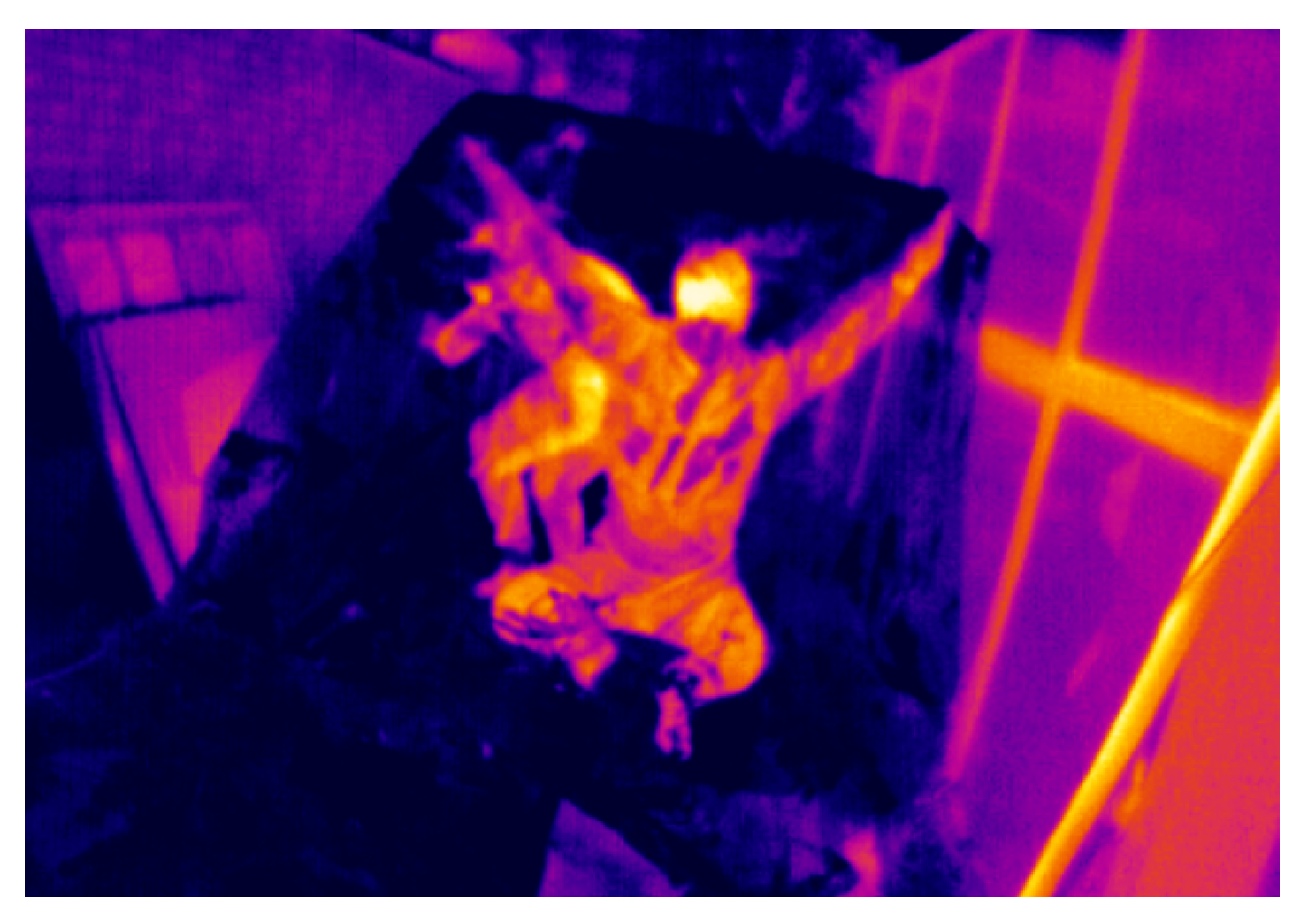 Sensors 21 07346 g004