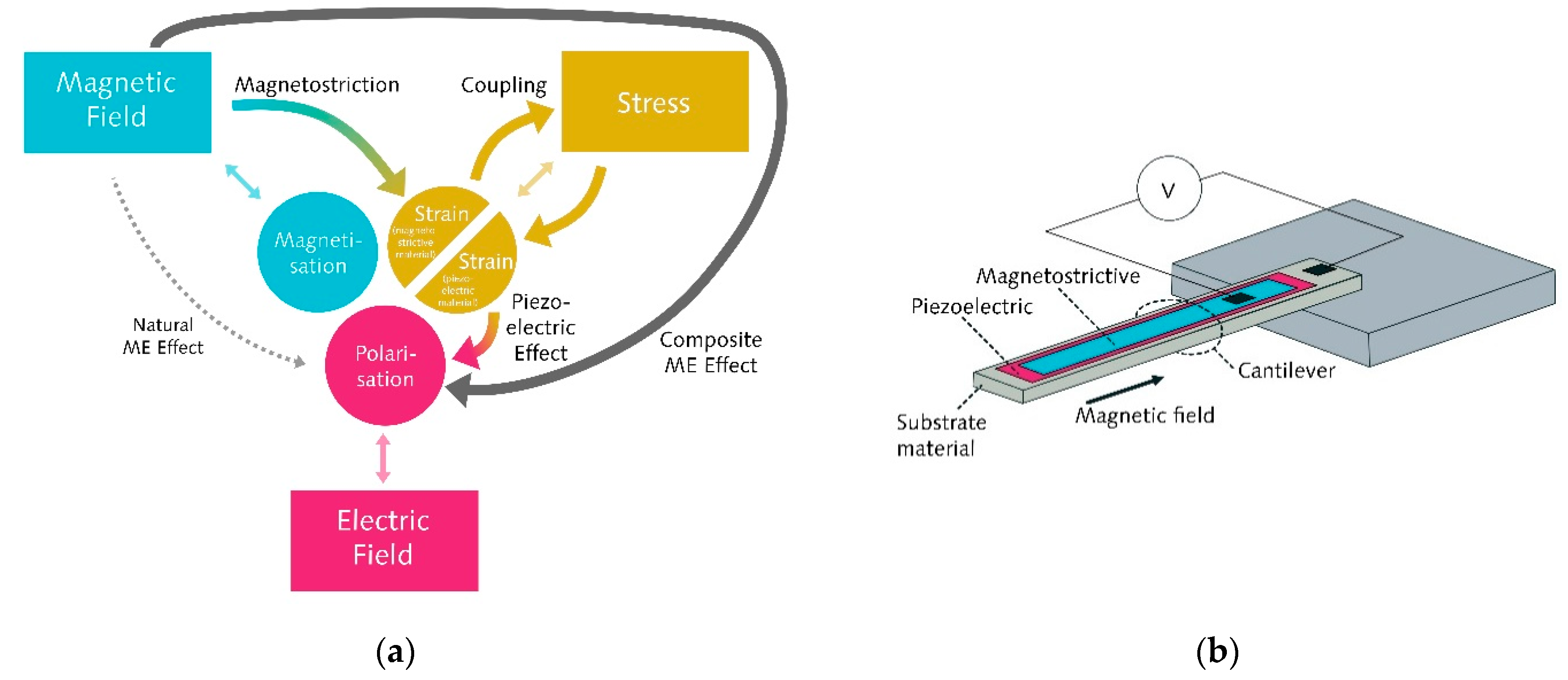 Sensors 21 07354 g001