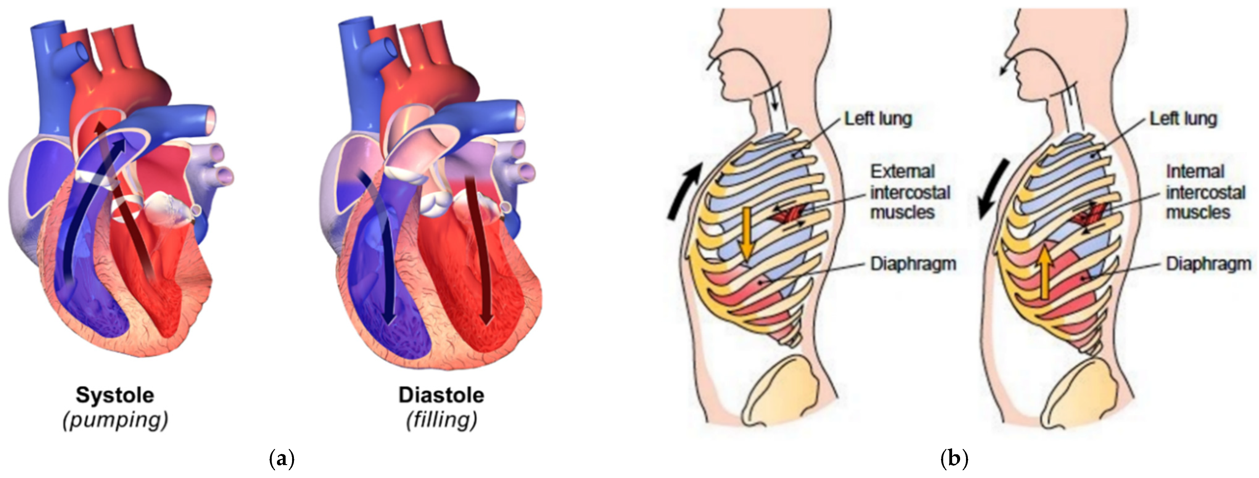 Sensors 21 07398 g001