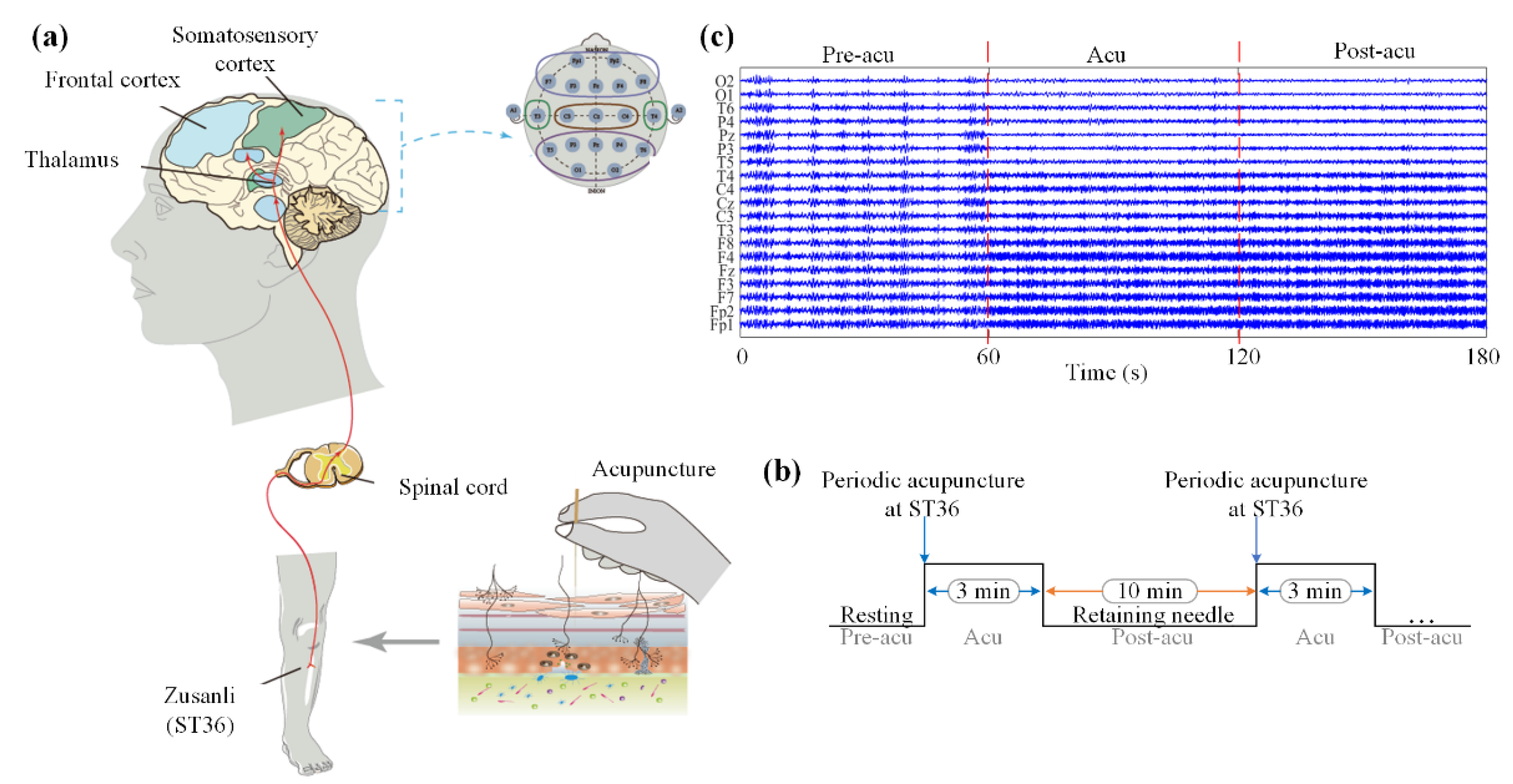 Sensors 21 07432 g001