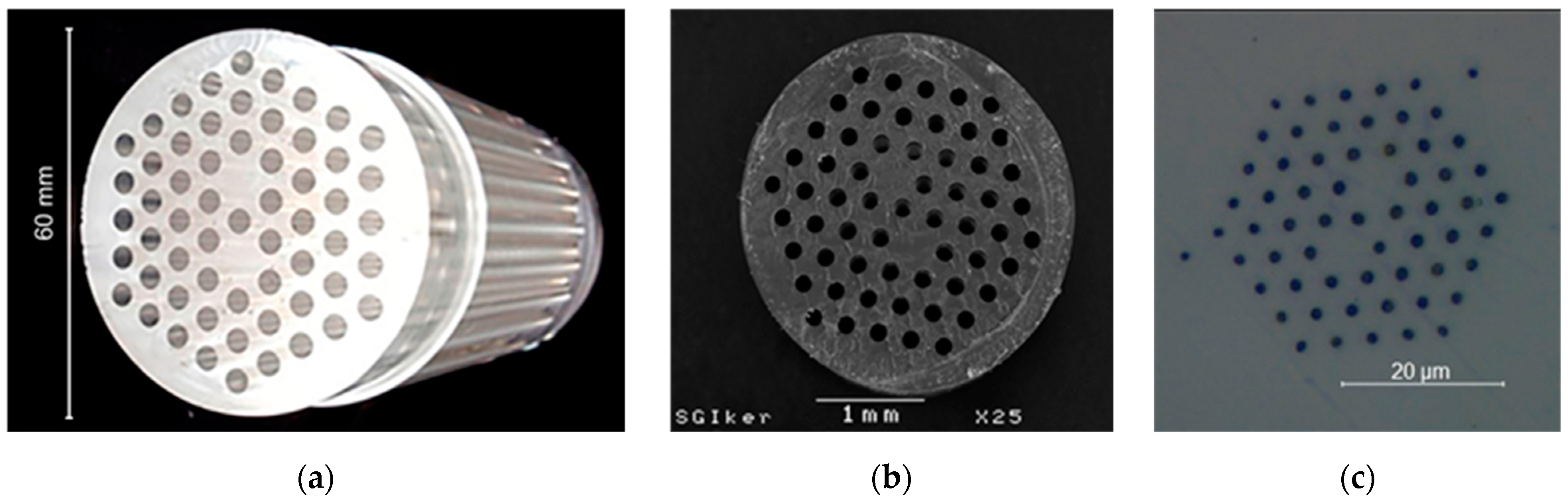 Sensors 21 07435 g001