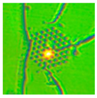 Sensors 21 07435 i004