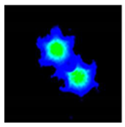 Sensors 21 07435 i005