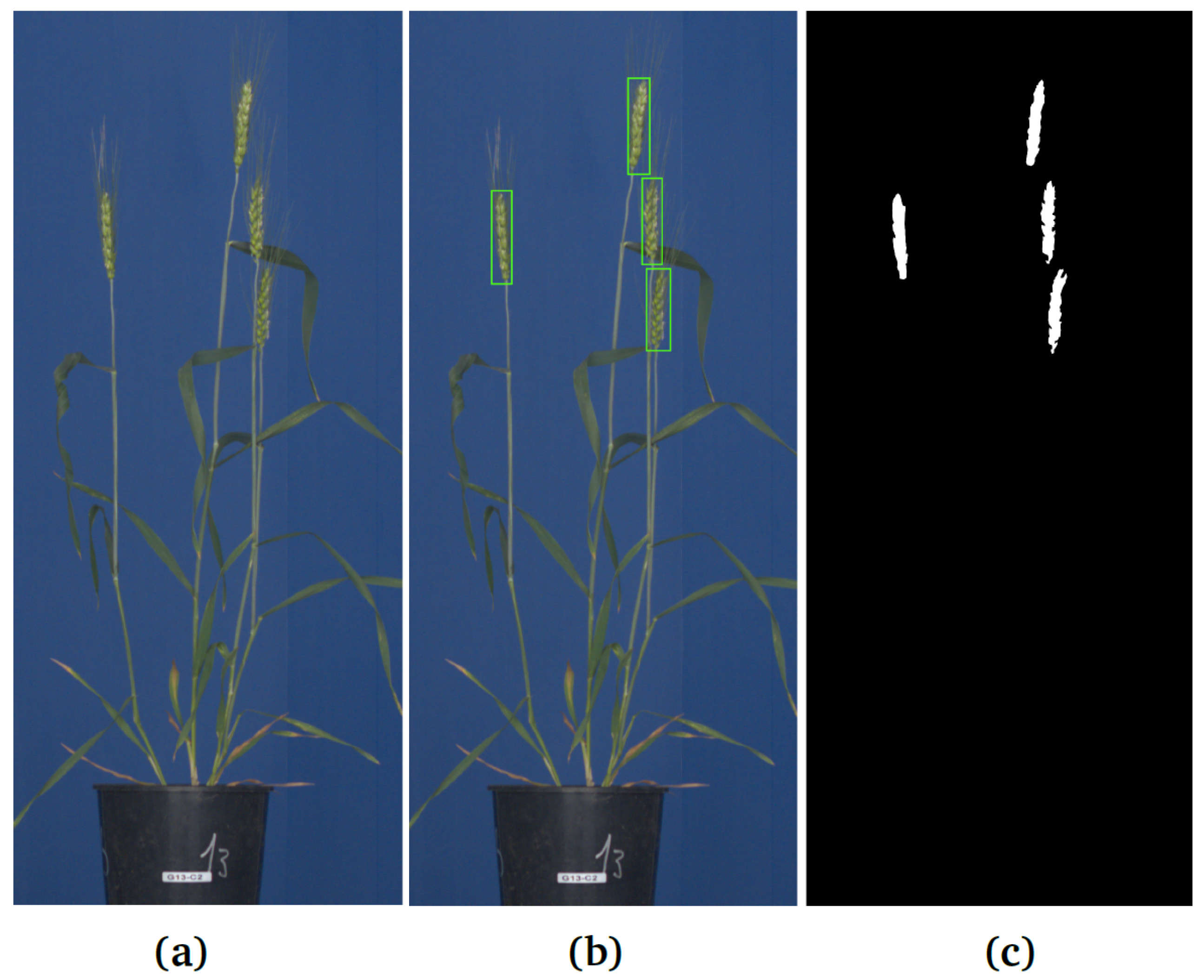 Sensors 21 07441 g001