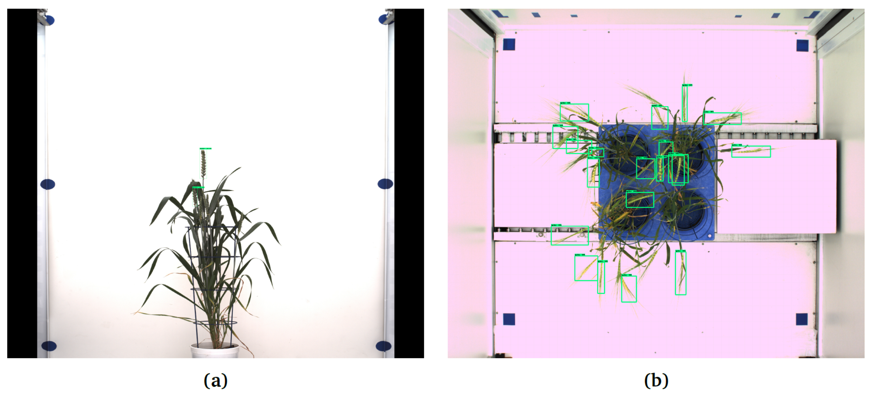 Sensors 21 07441 g008