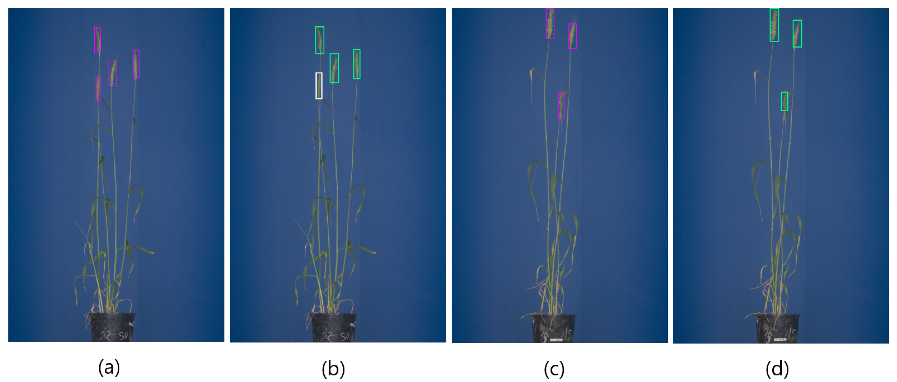 Sensors 21 07441 g009