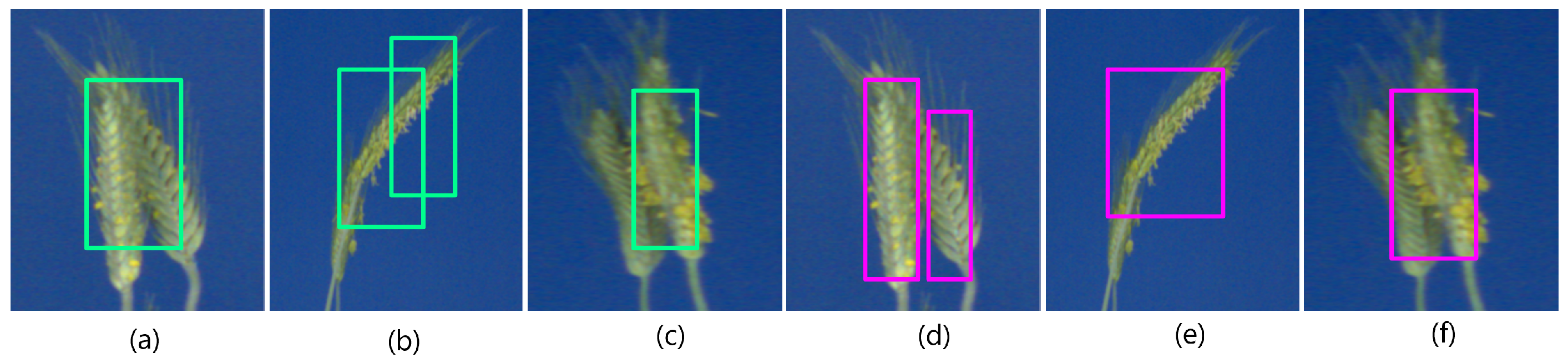 Sensors 21 07441 g010
