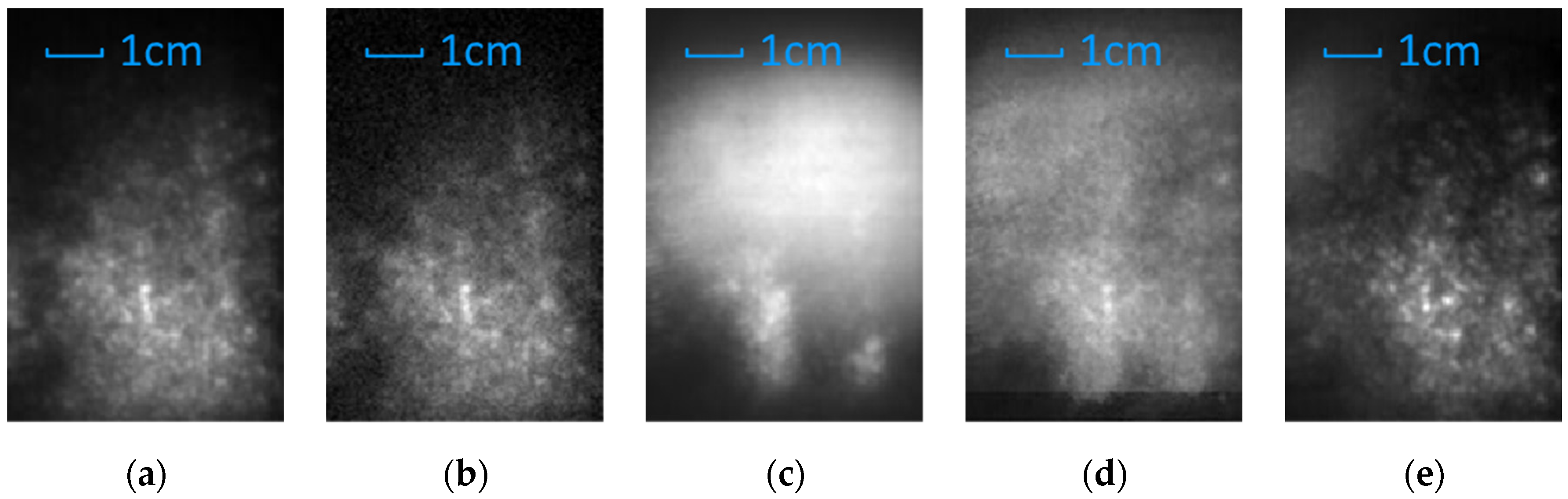 Sensors 21 07451 g007