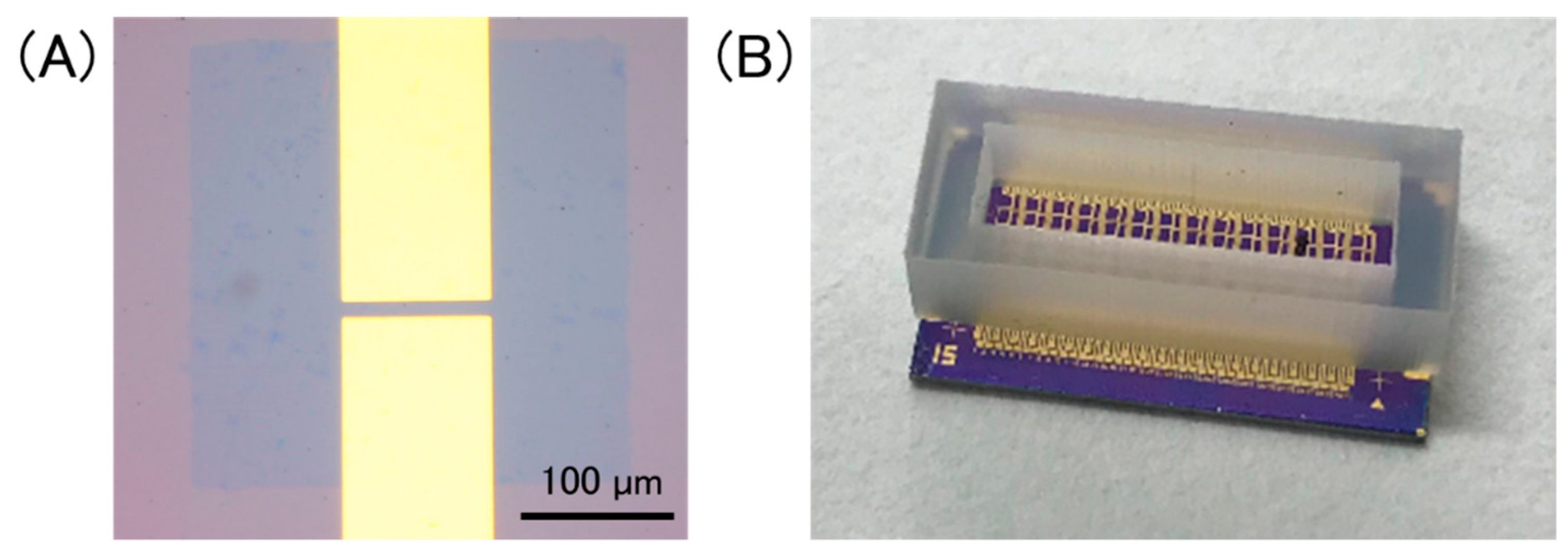 Sensors 21 07455 g002
