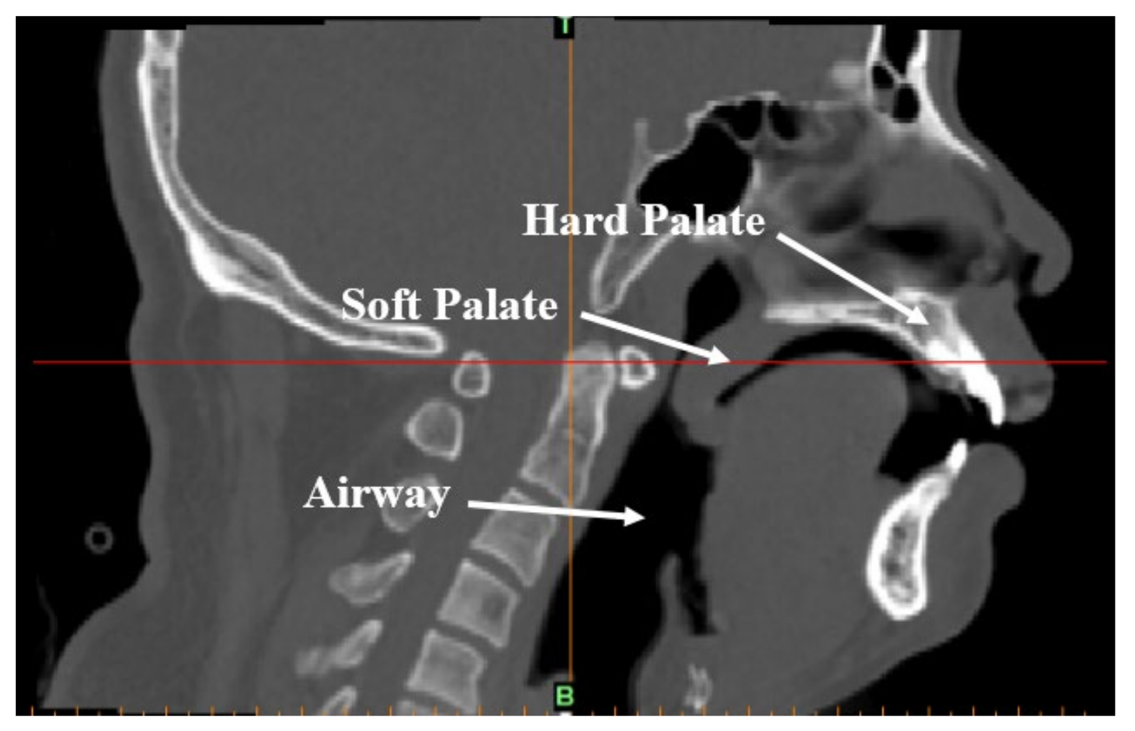 Sensors 21 07457 g002