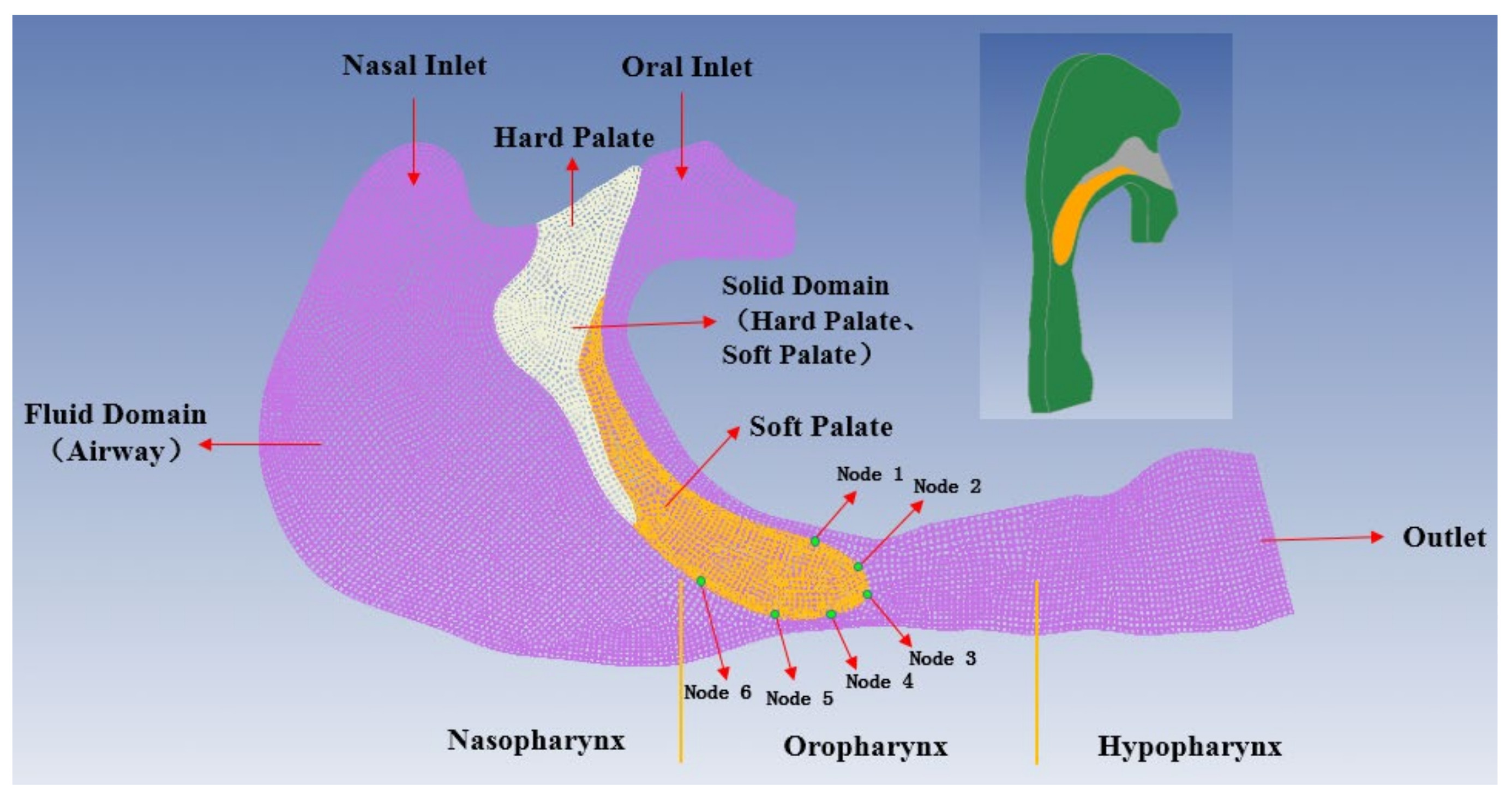 Sensors 21 07457 g003
