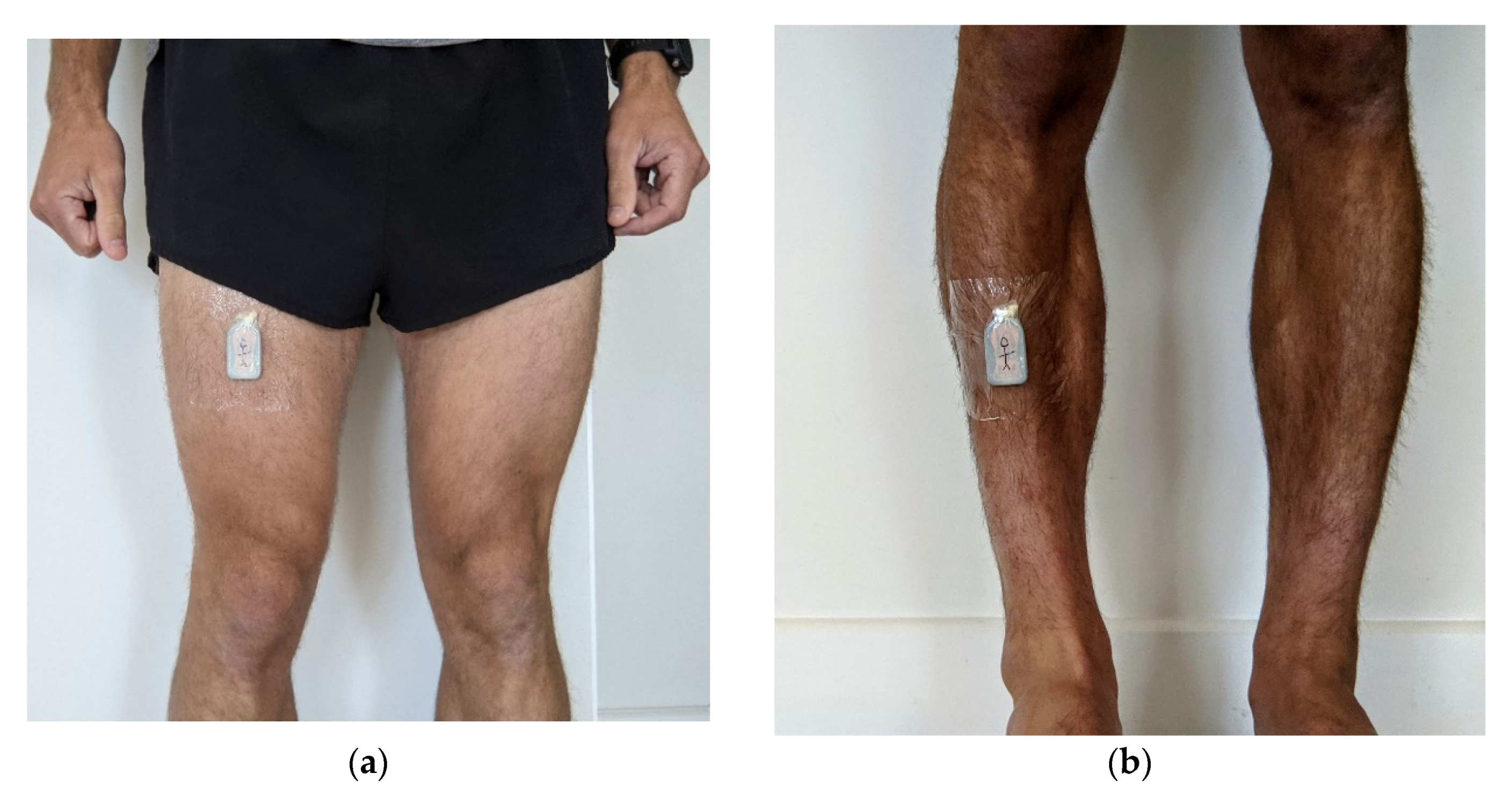 Sensors 21 07458 g001