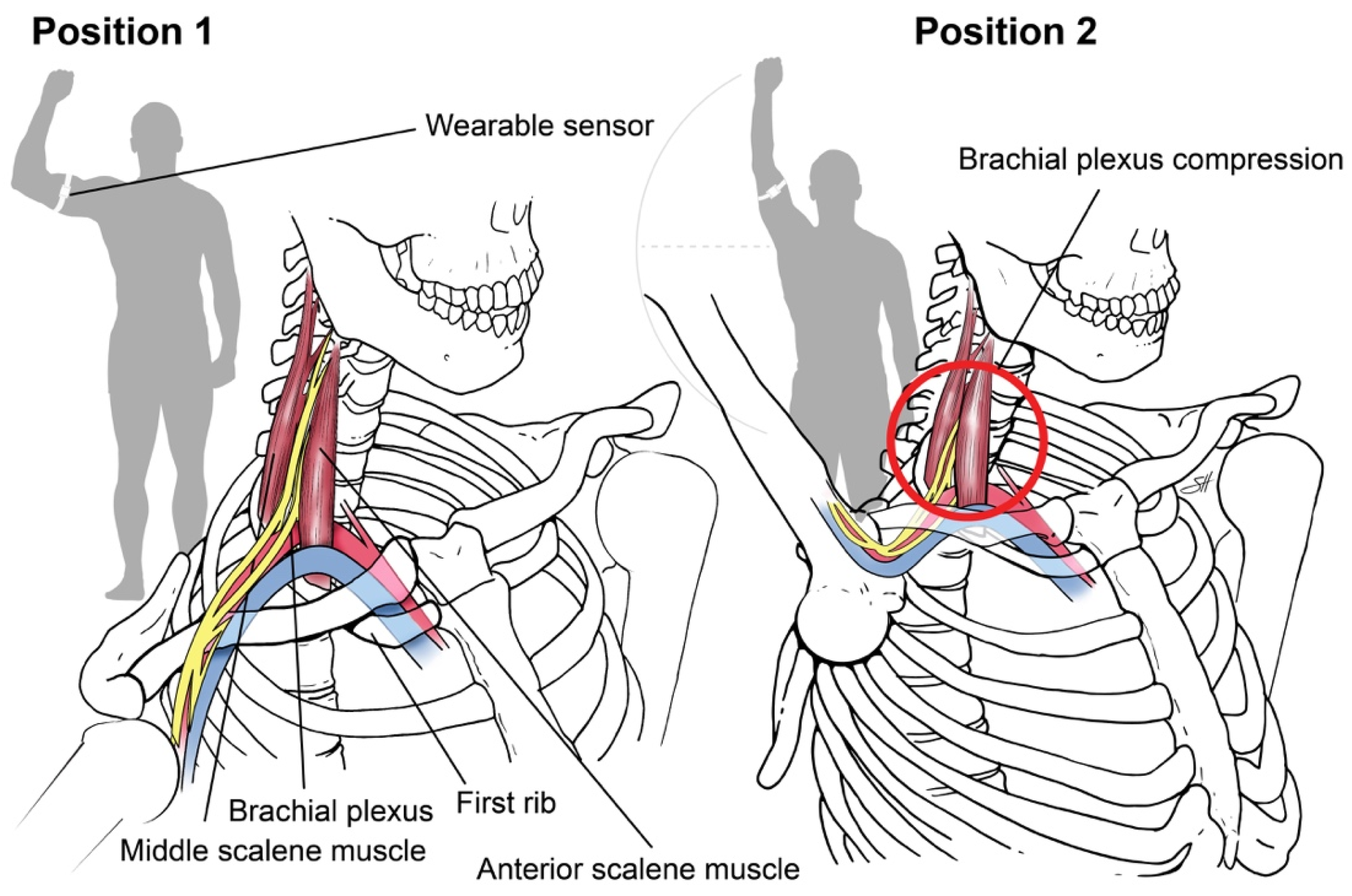 Sensors 21 07462 g001